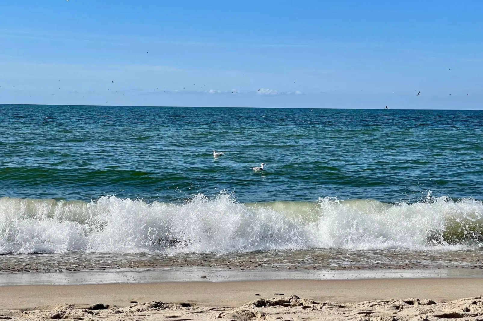 6 persoons vakantie huis in Ringkøbing-By Traum-Waterzicht