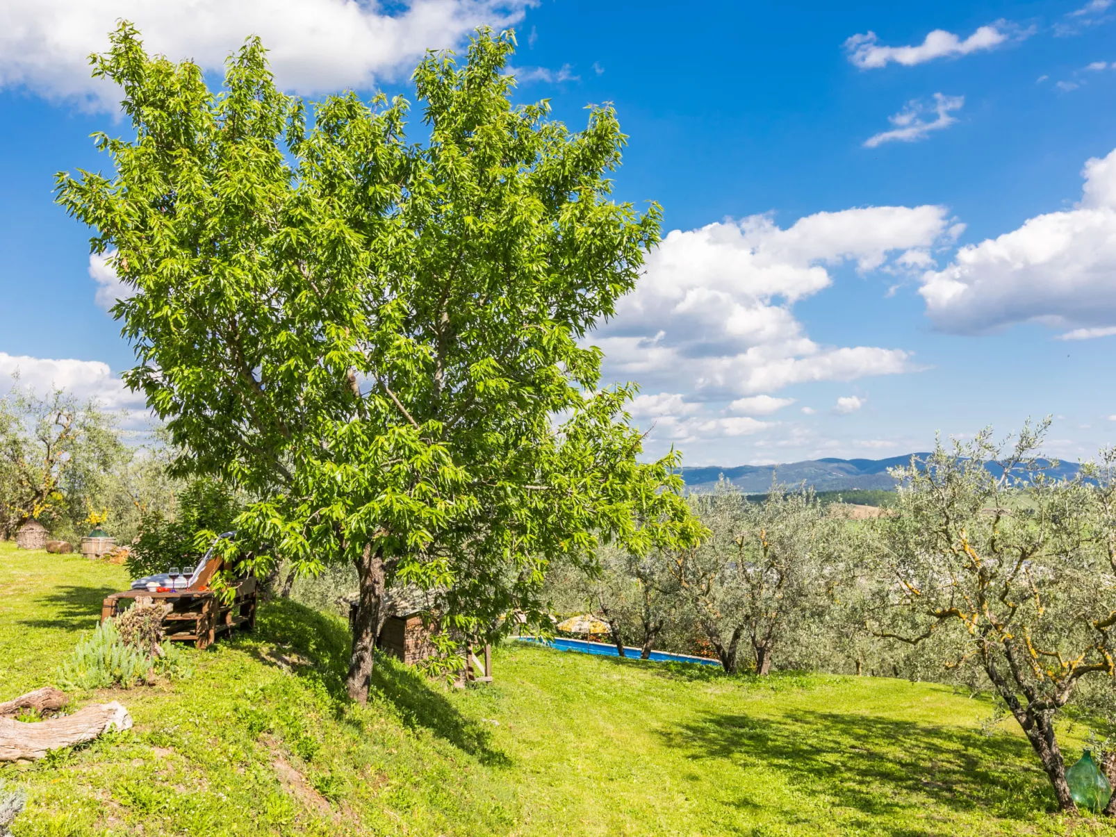 Poggio all'Aia-Buiten