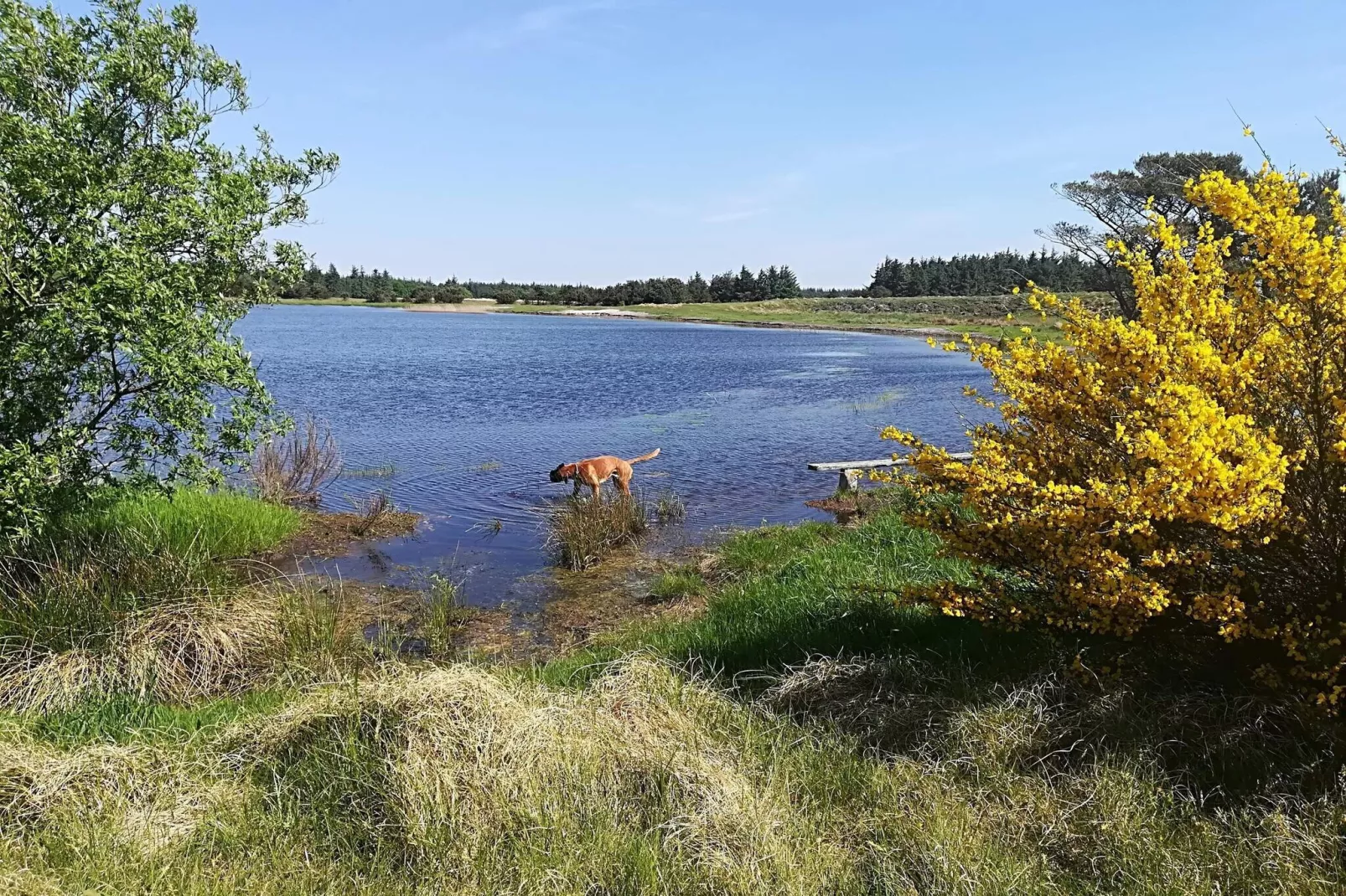 2 persoons vakantie huis in Vejers Strand-By Traum-Waterzicht