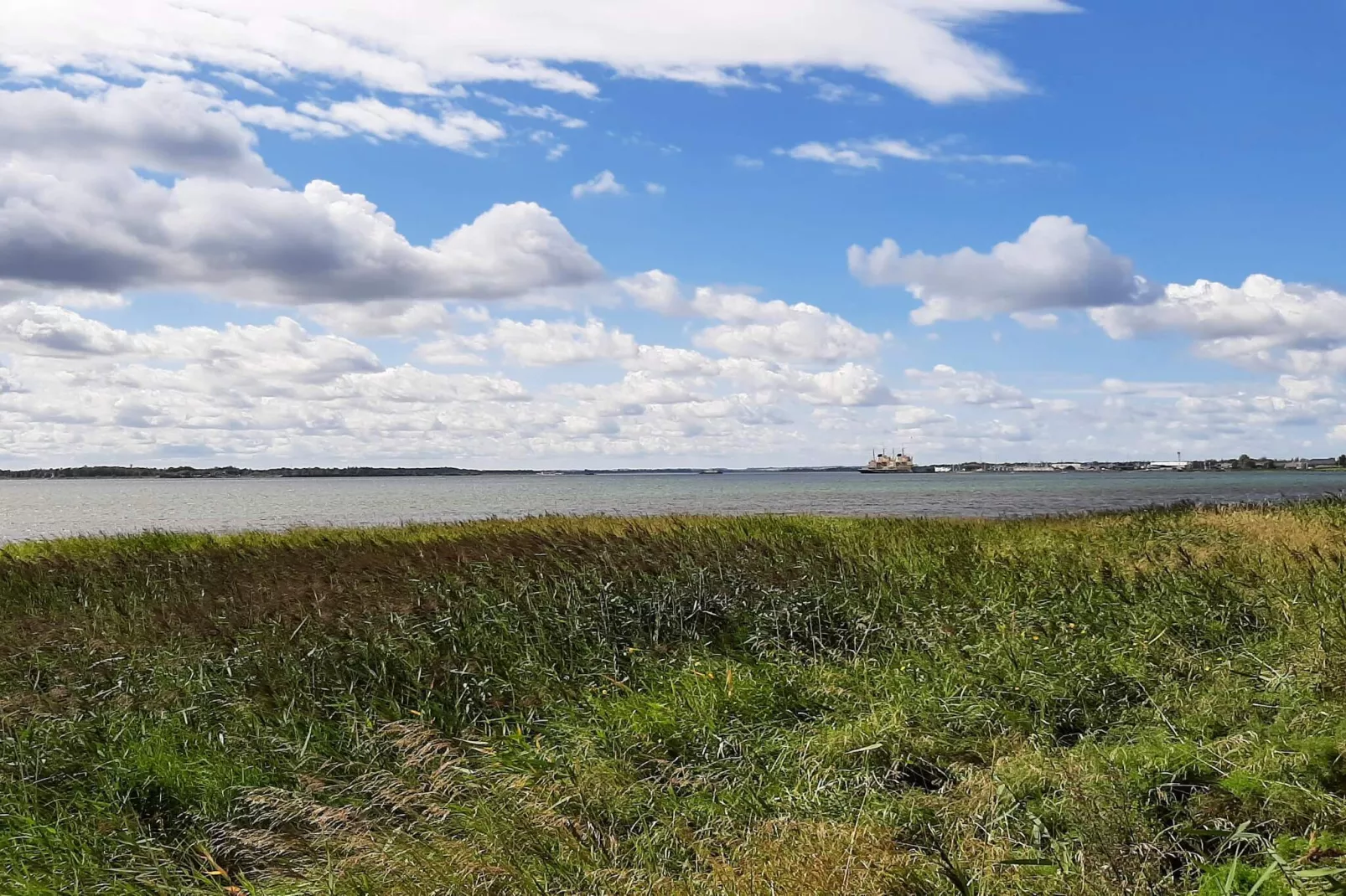 Rustig toevluchtsoord nabij strand -- By Traum Ferienwohnungen-Waterzicht