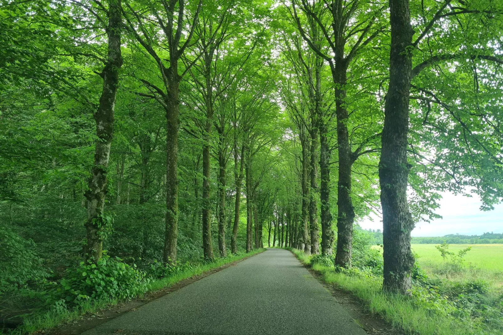 6 persoons vakantie huis in Øster Assels-By Traum-Niet-getagd