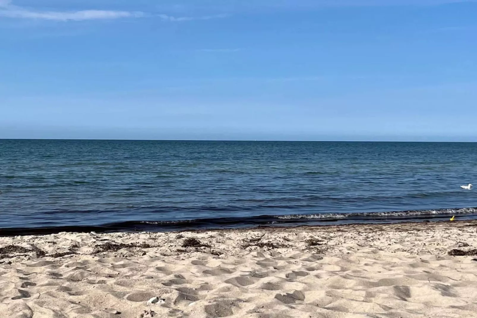 Luxe Zwembadvilla Oase -- By Traum Ferienwohnungen-Waterzicht