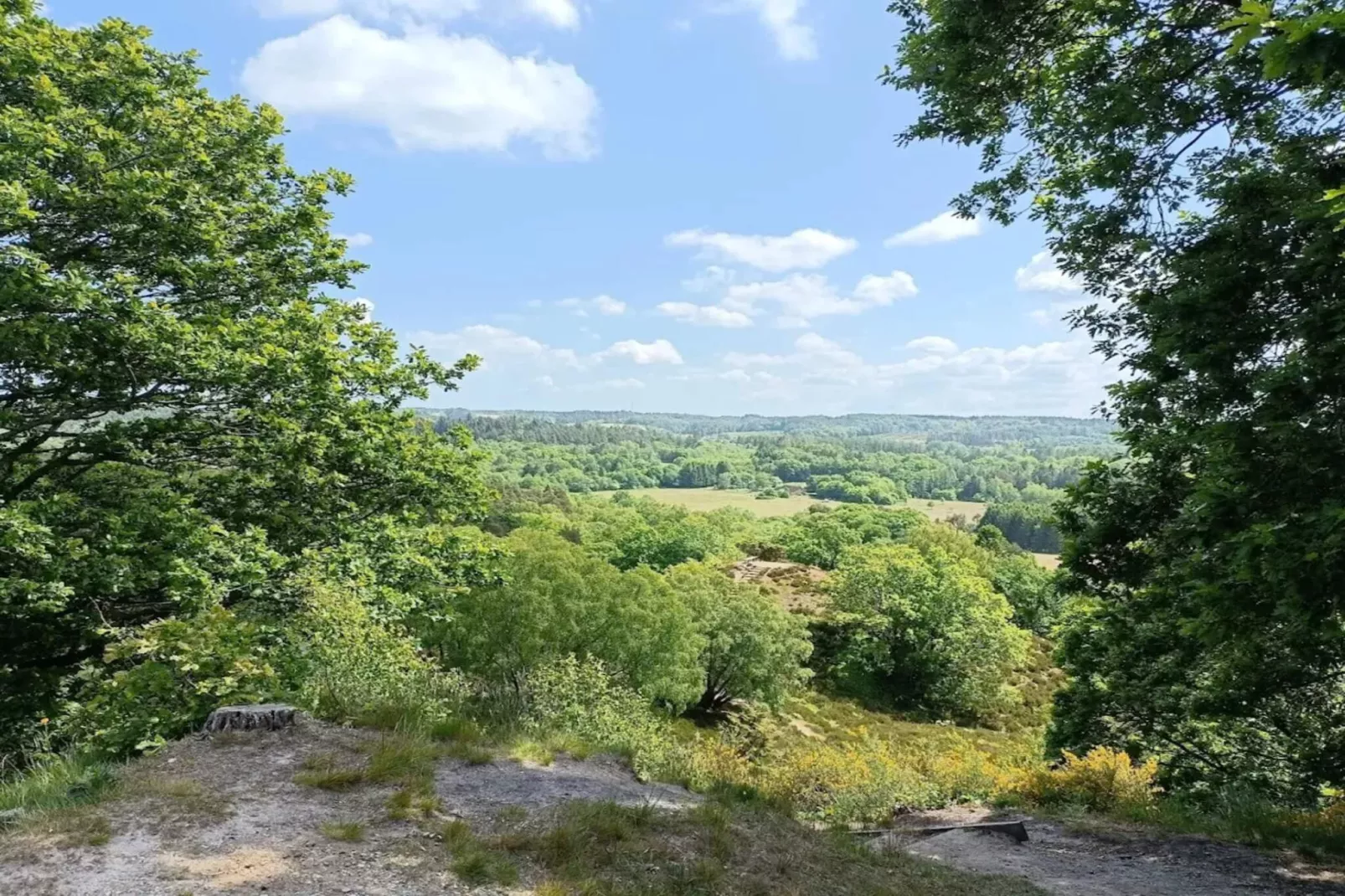 8 persoons vakantie huis in Gjern-By Traum-Niet-getagd