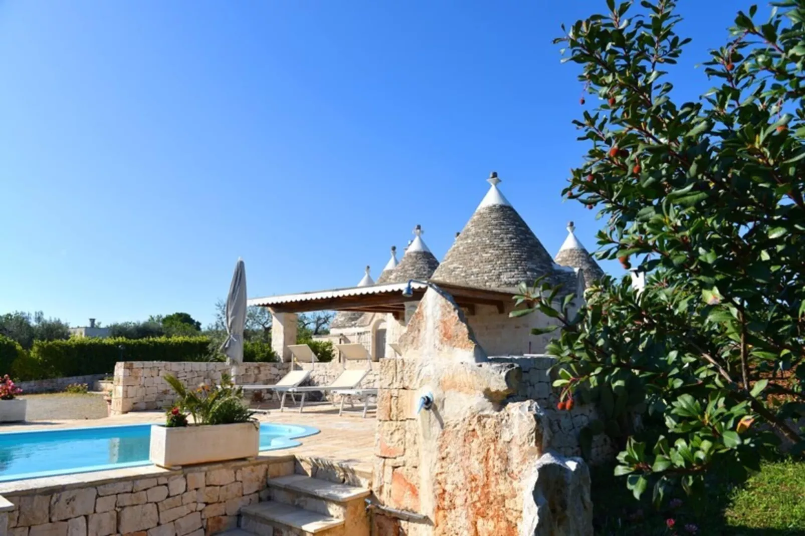 Holiday home Cisternino-Trullo Ulivo Antico-Buitenkant zomer