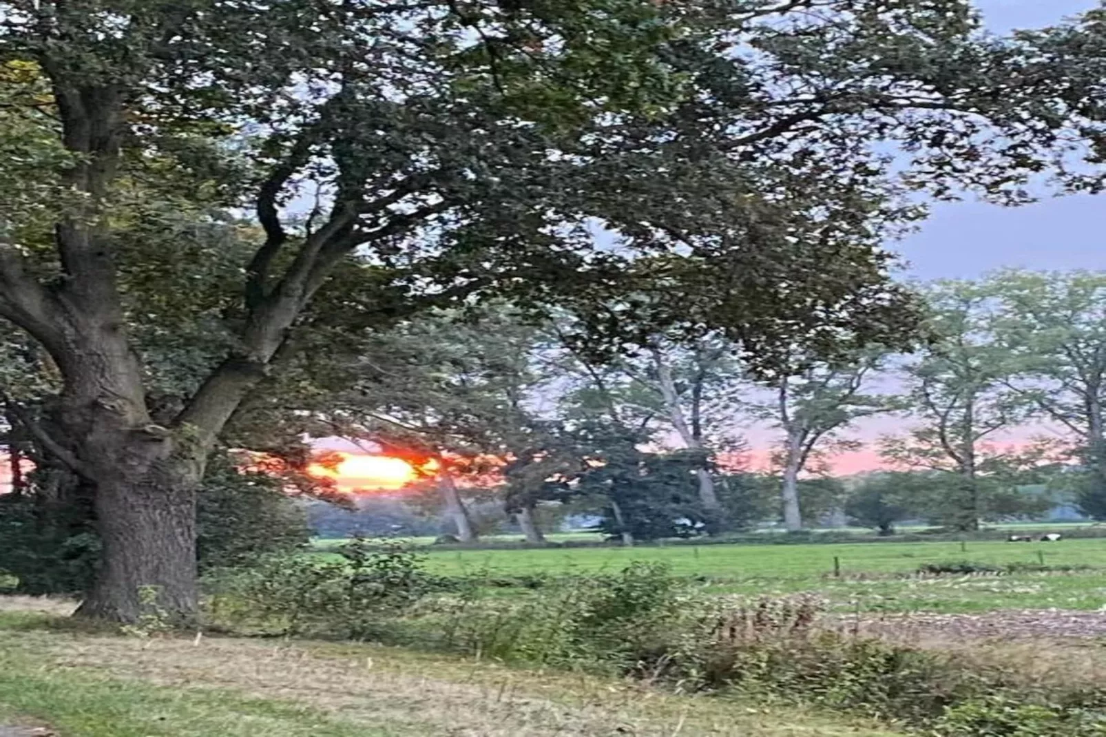 Vakantiepark De Lochemse Berg 1-Gebieden zomer 20km