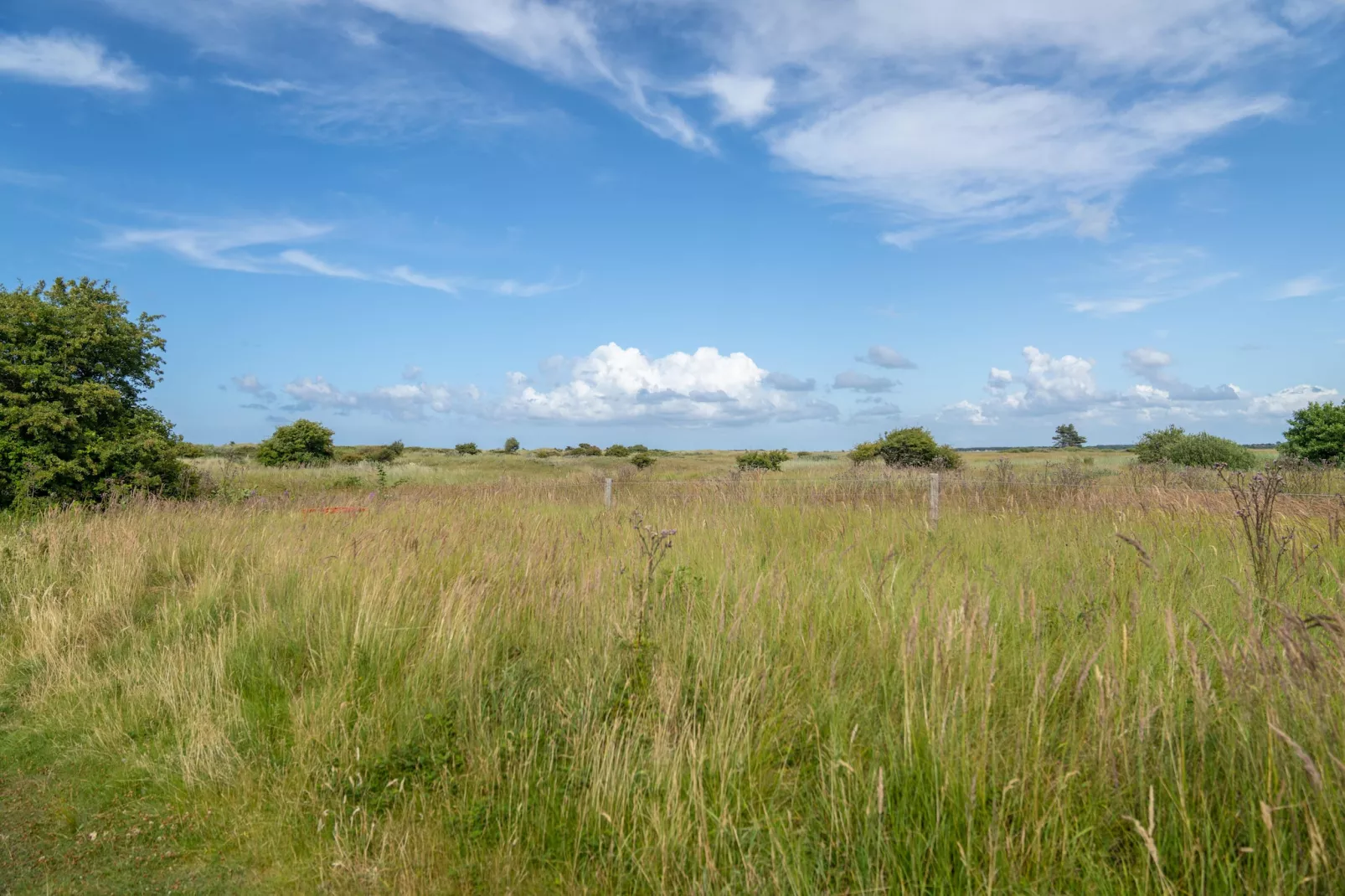 Vakantiepark Boomhiemke 10-Parkfaciliteiten