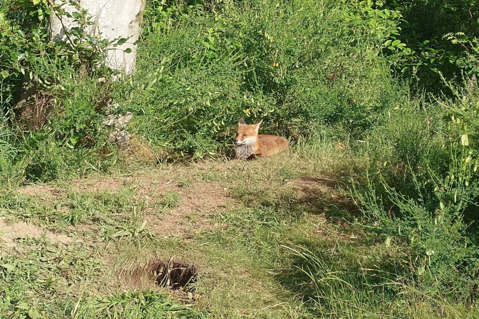 6 persoons vakantie huis in Nibe-By Traum-Waterzicht