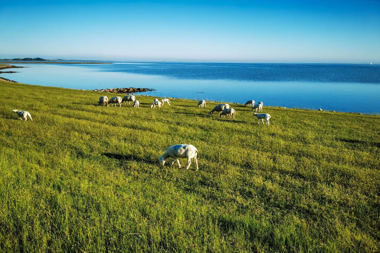 FeWo Lemk 16 1 OG-Gebieden zomer 5km