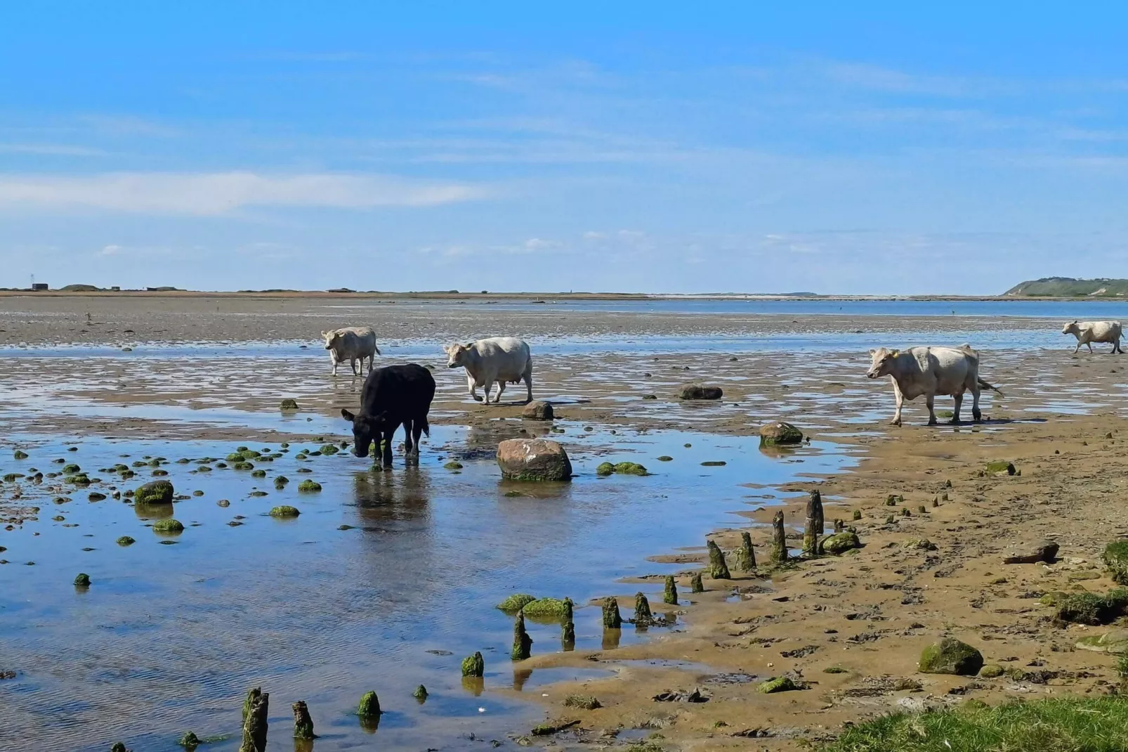 5 persoons vakantie huis in Føllenslev-By Traum-Waterzicht