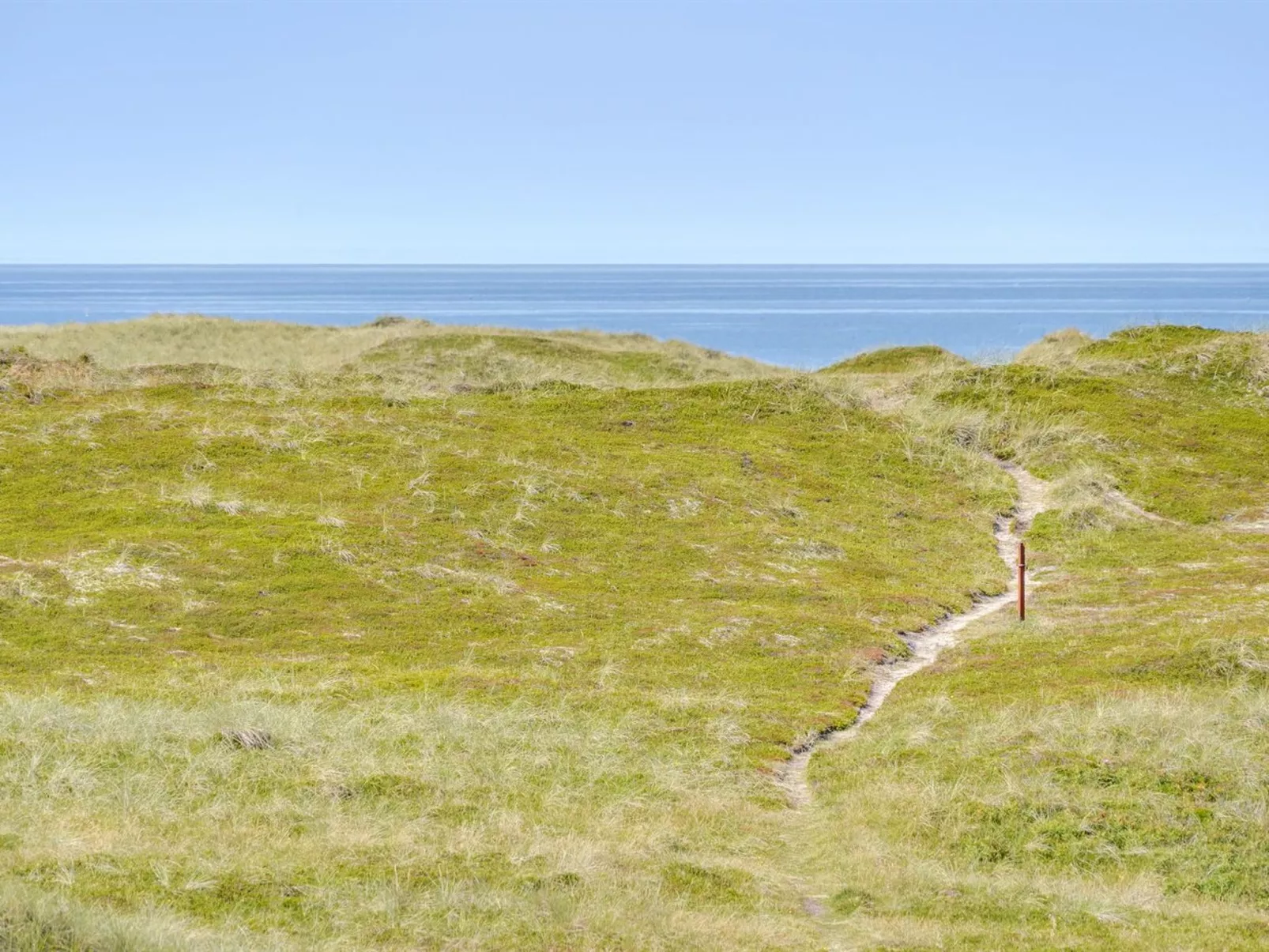 "Bernice" - 150m from the sea-Buiten