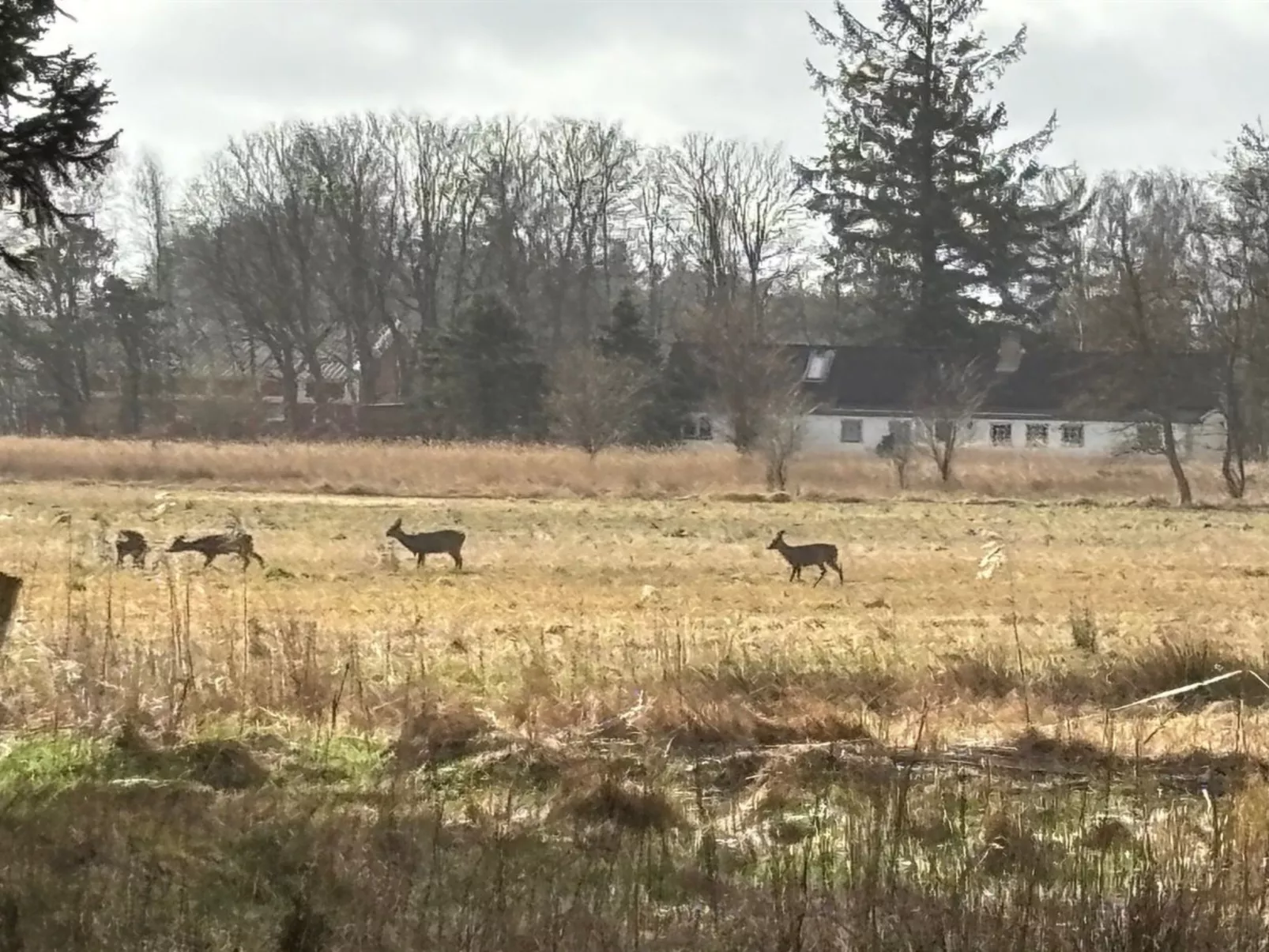 "Marla" - 1.1km from the sea-Buiten