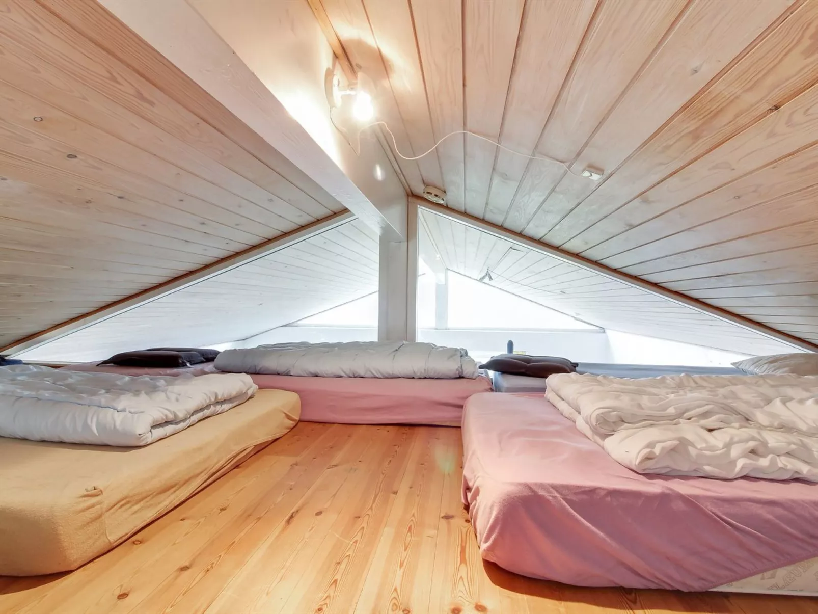 "Gesine" - 900m from the sea-Binnen