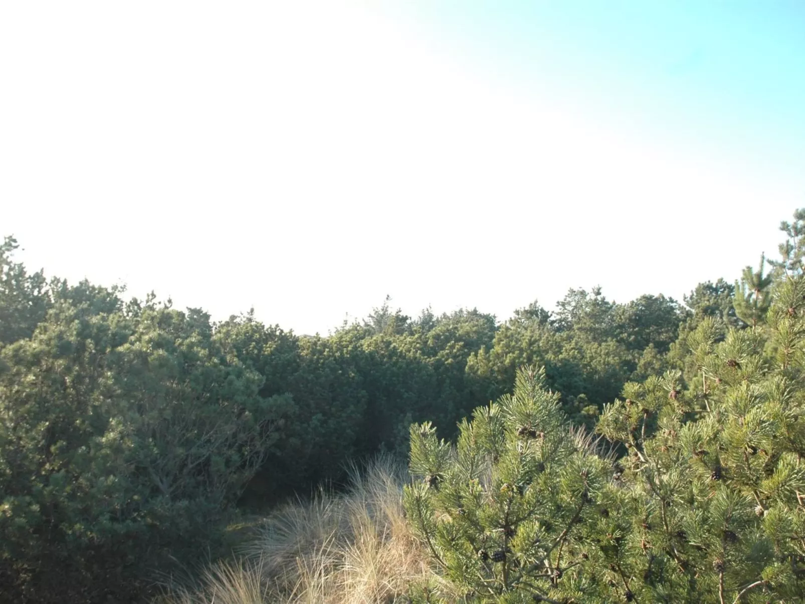 "Jon" - 400m from the sea-Buiten