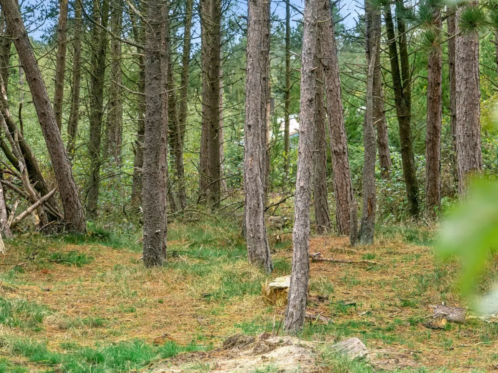 "Santuzza" - 3.9km from the sea-Buiten