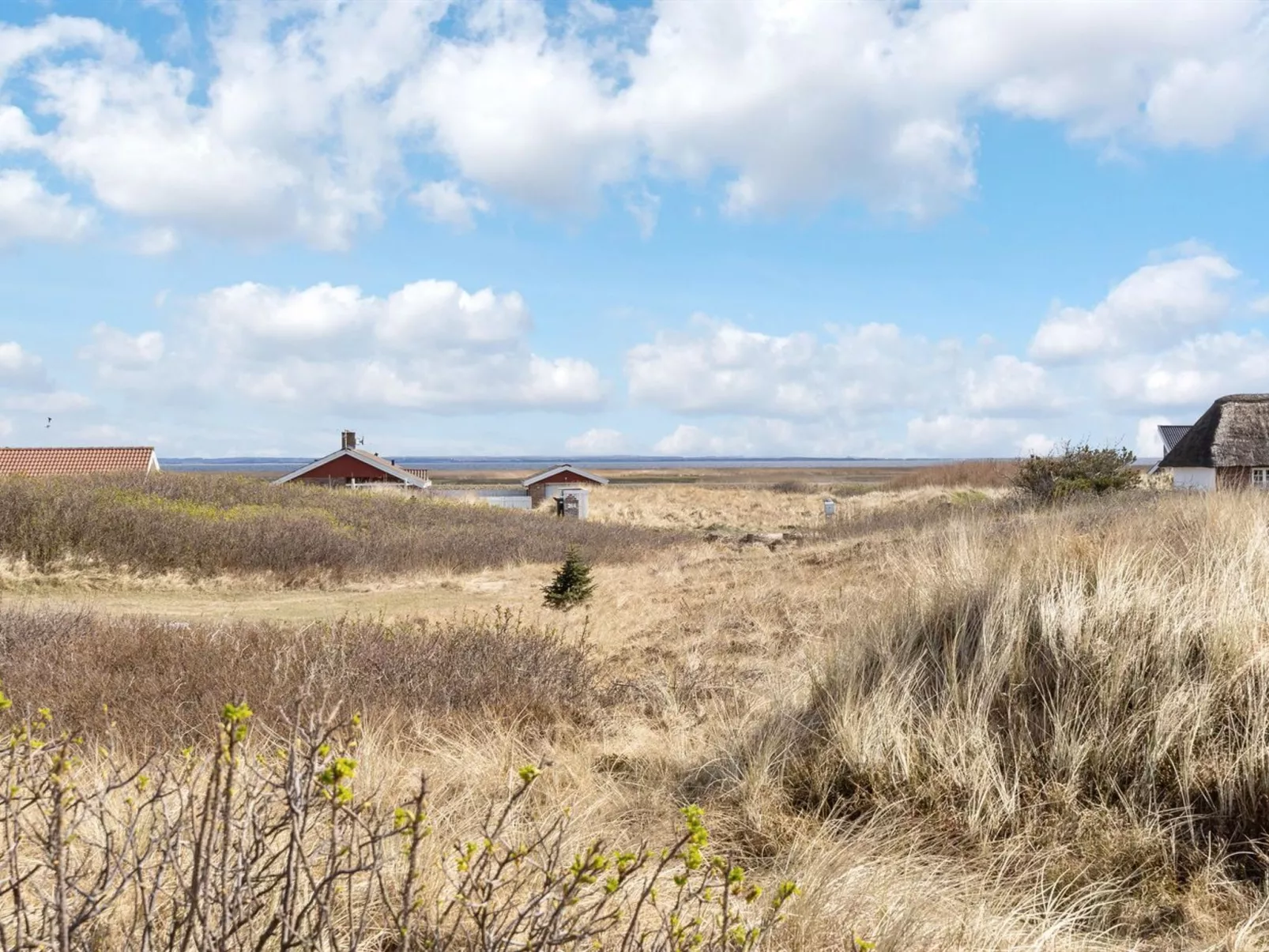 "Asalonis" - 250m from the sea-Buiten