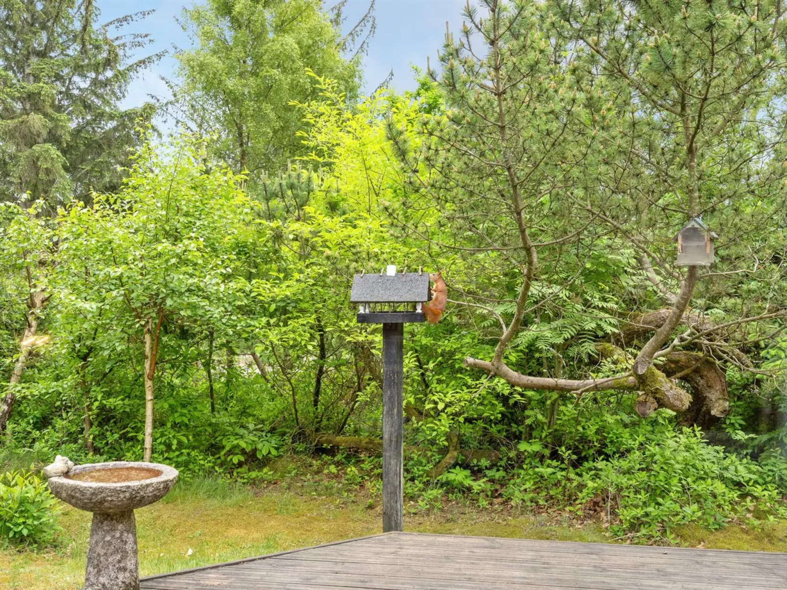 "Yonna" - 400m from the sea-Buiten