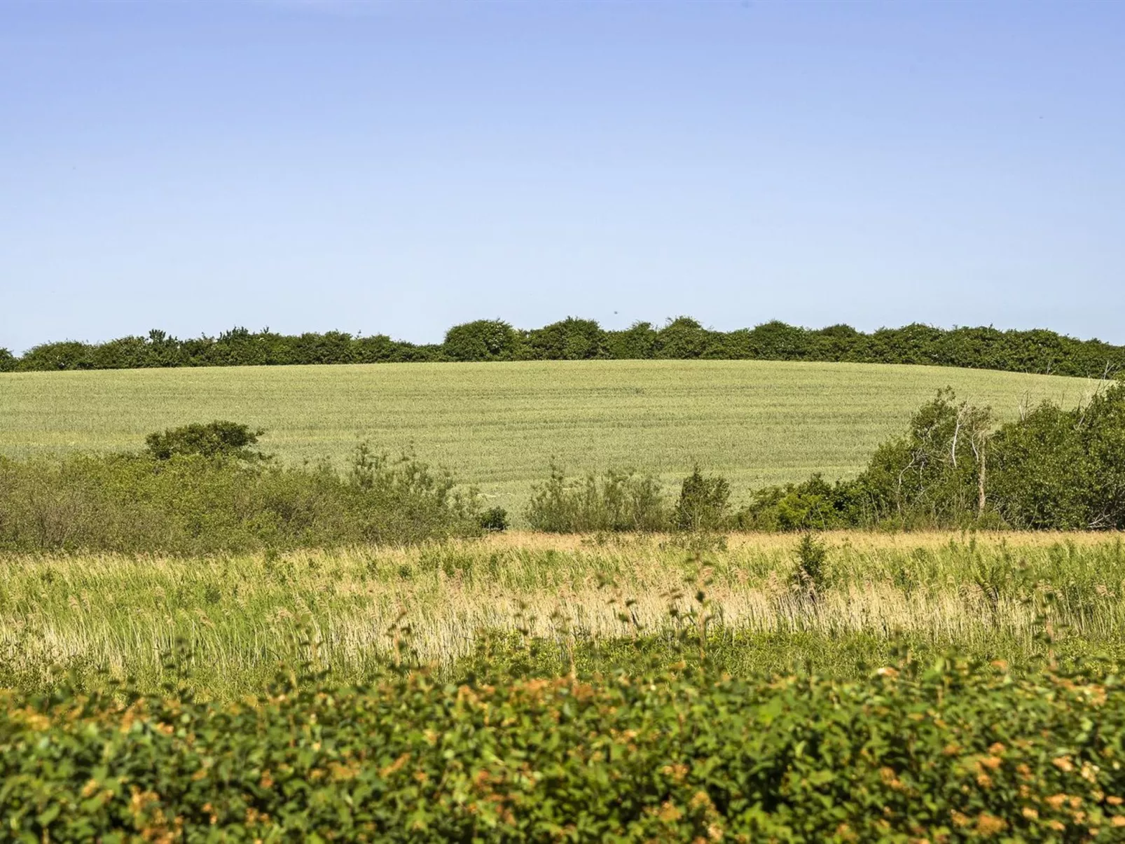 "Kierstine" - 100m from the sea-Buiten