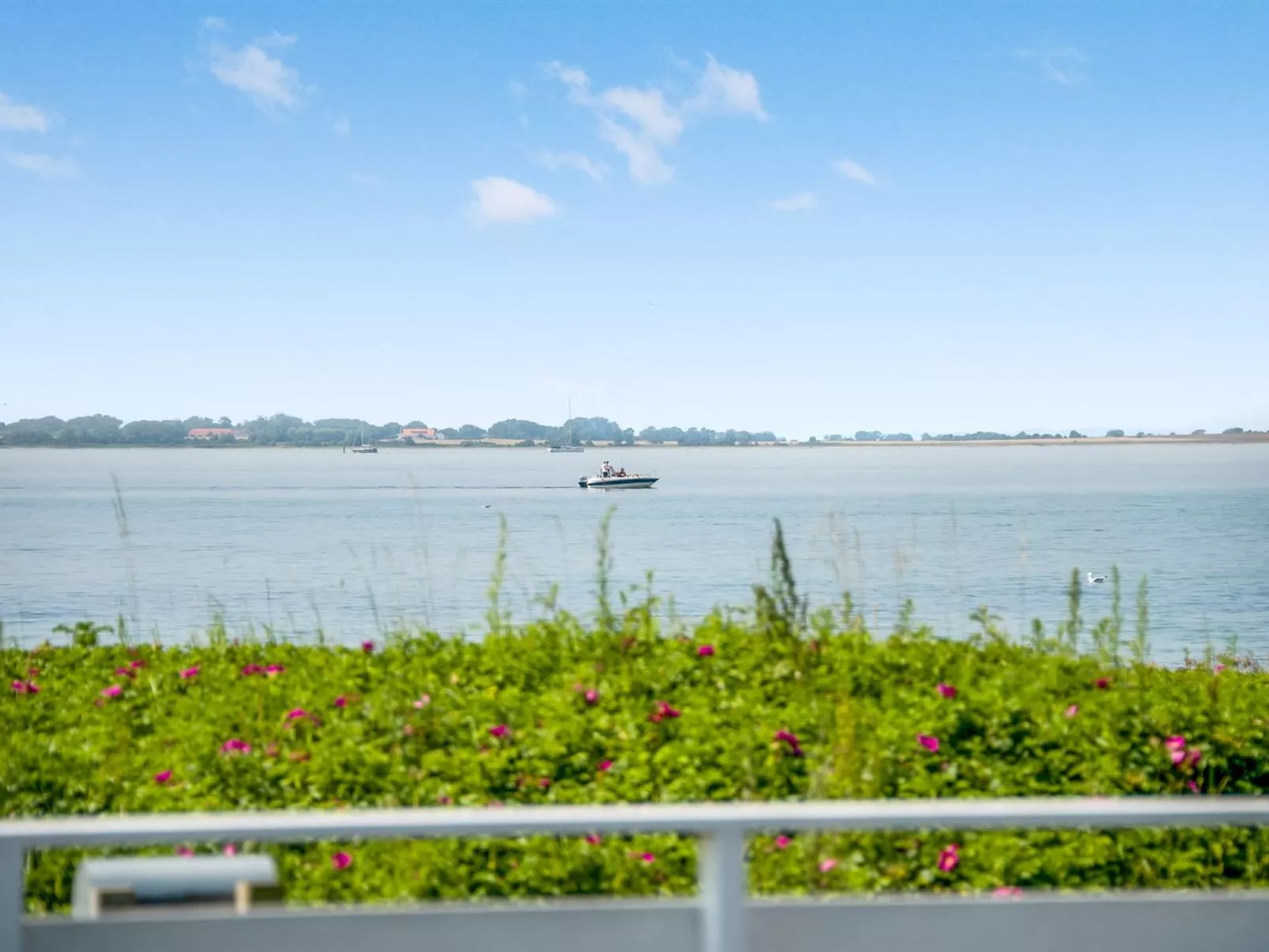 "Arnwith" - 20m from the sea-Buiten