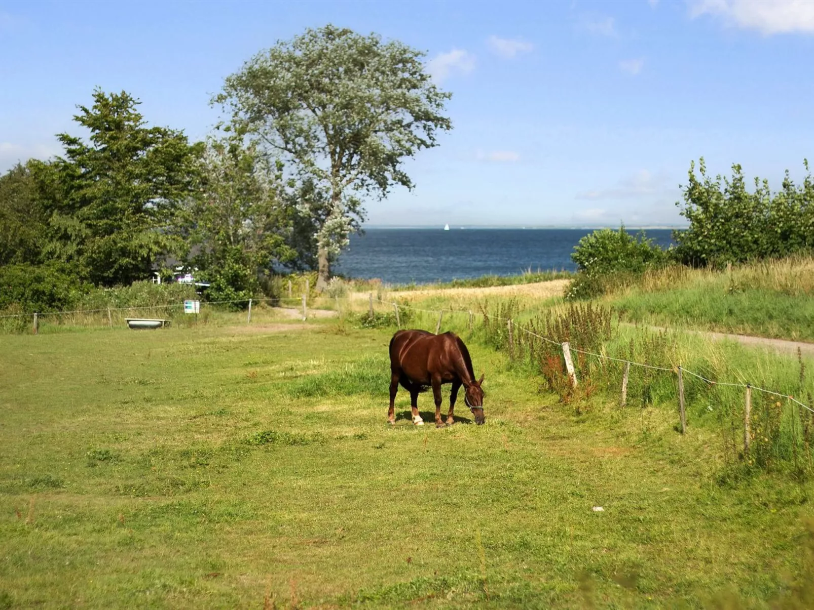 "Ady" - 150m from the sea-Buiten
