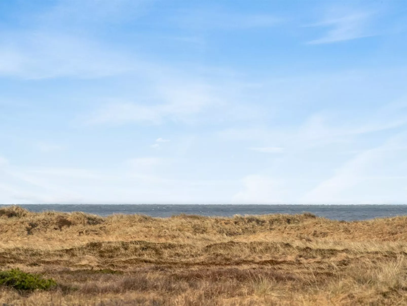 "Zaharinka" - 300m from the sea-Buiten