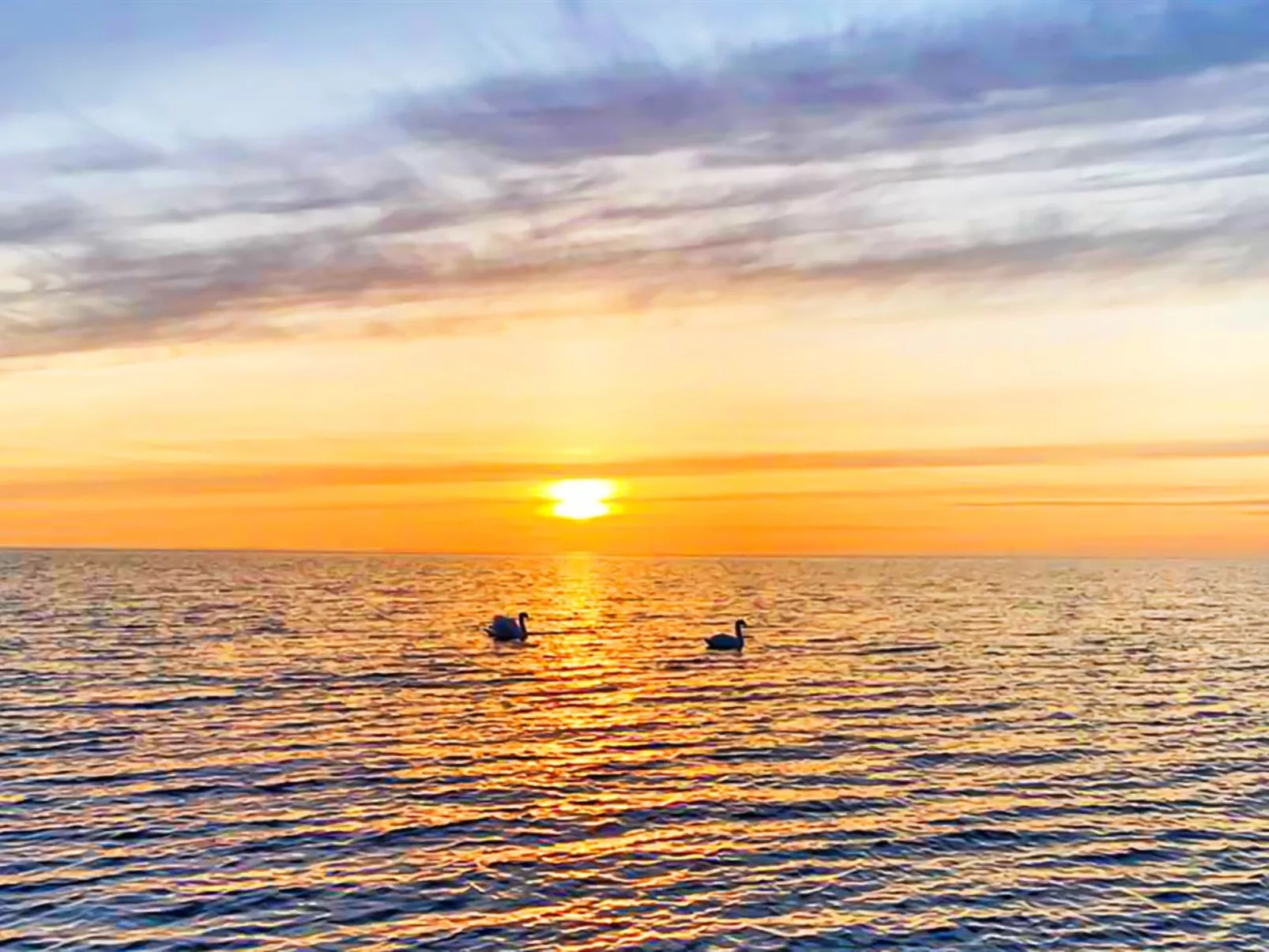 "Stacie" - 10m from the sea-Buiten