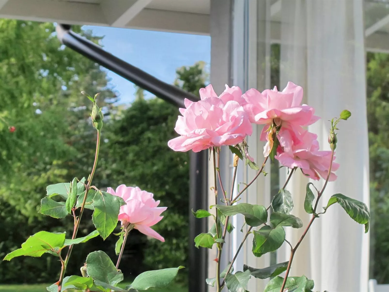 "Claudette" - 1km from the sea-Binnen