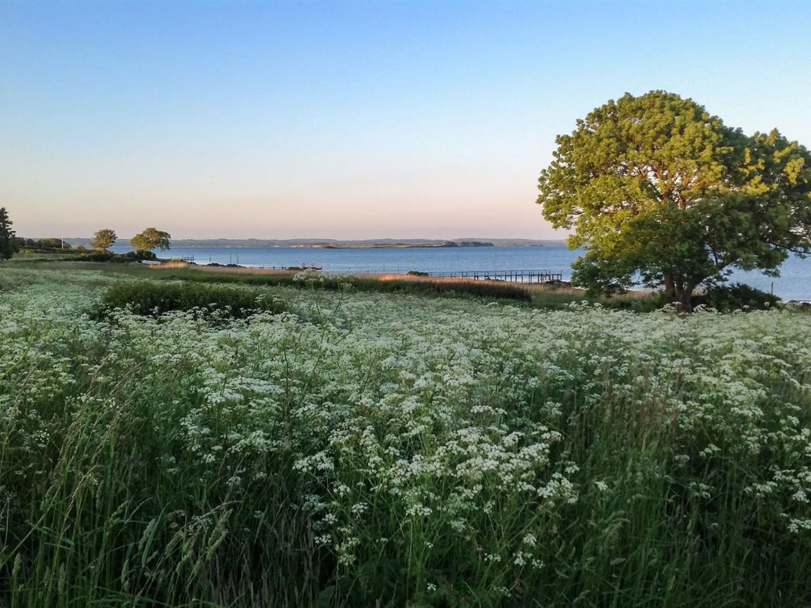 "Bibi" - 200m from the sea-Buiten