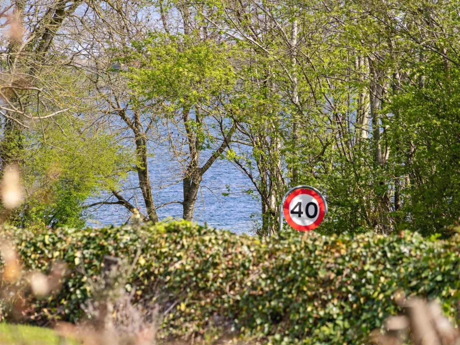 "Holmwith" - 200m from the sea-Buiten