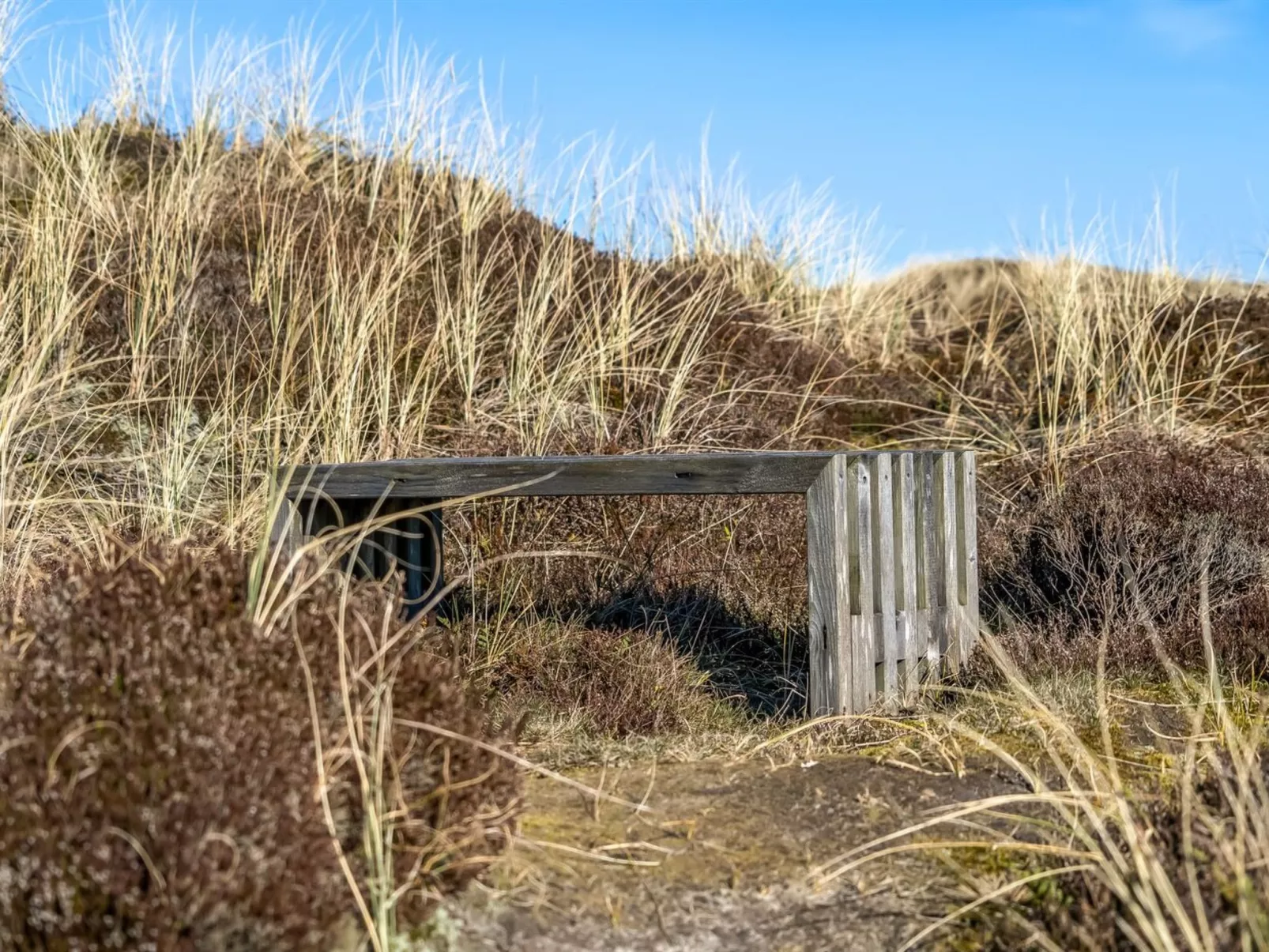 "Pauli" - 350m from the sea-Buiten