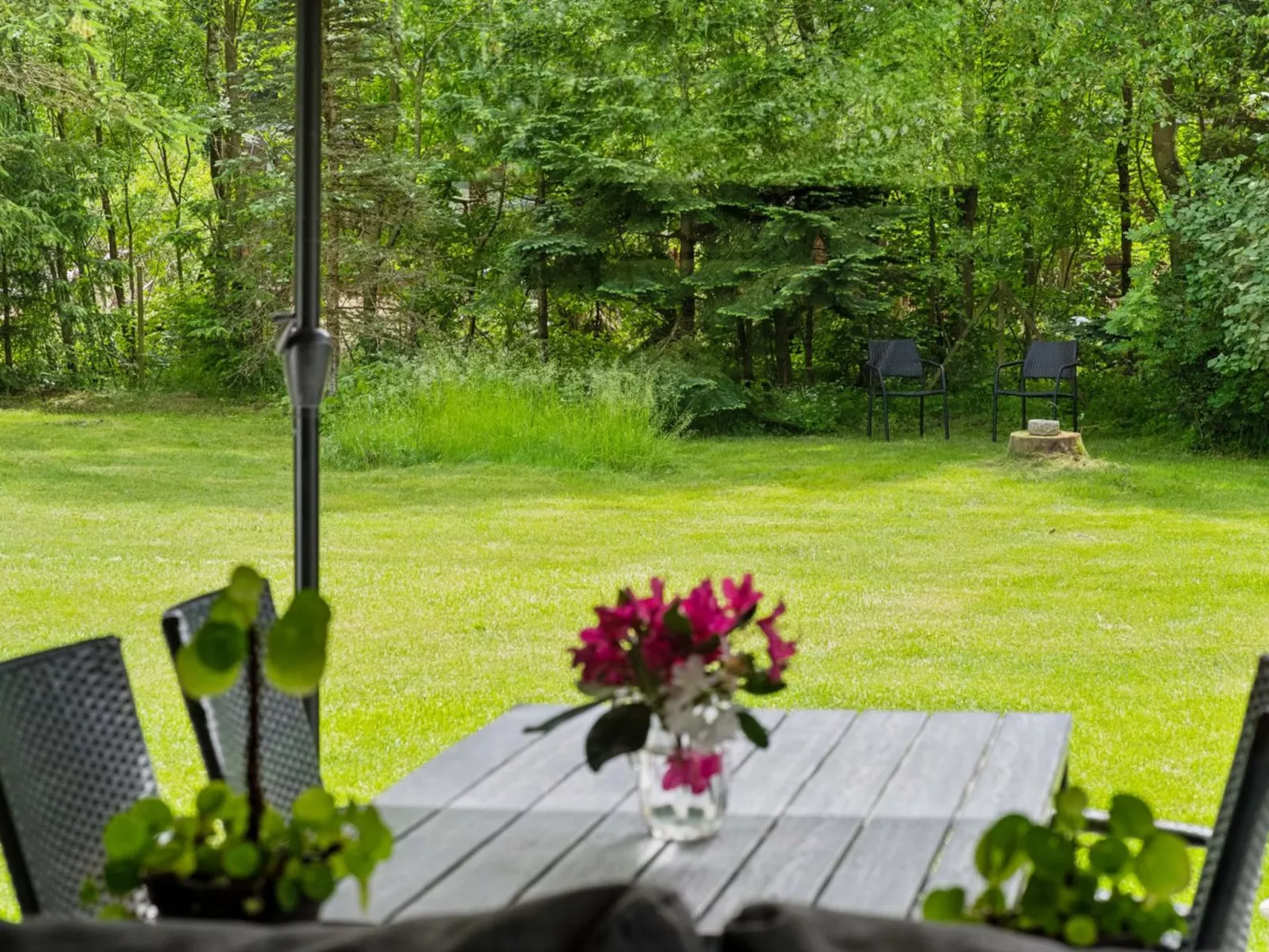 "Agnita" - 8km from the sea-Buiten