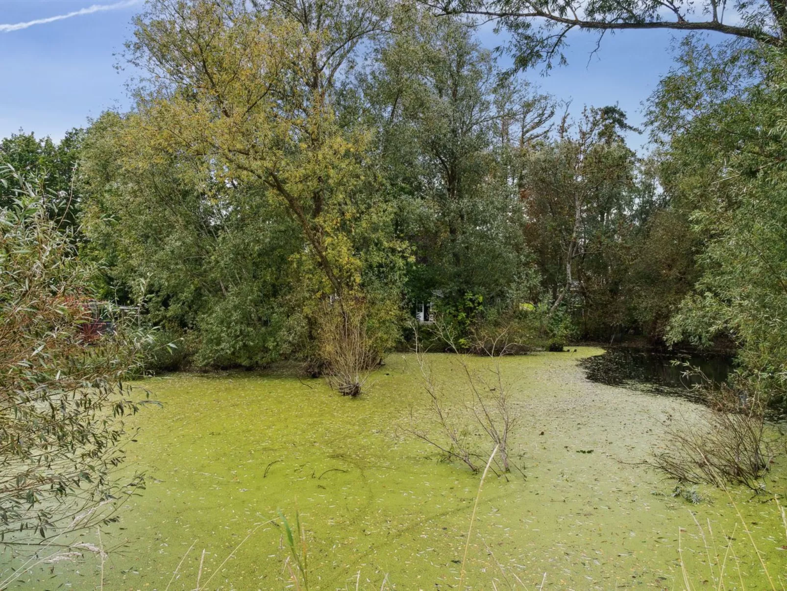 "Tessa" - 1.6km from the sea-Buiten