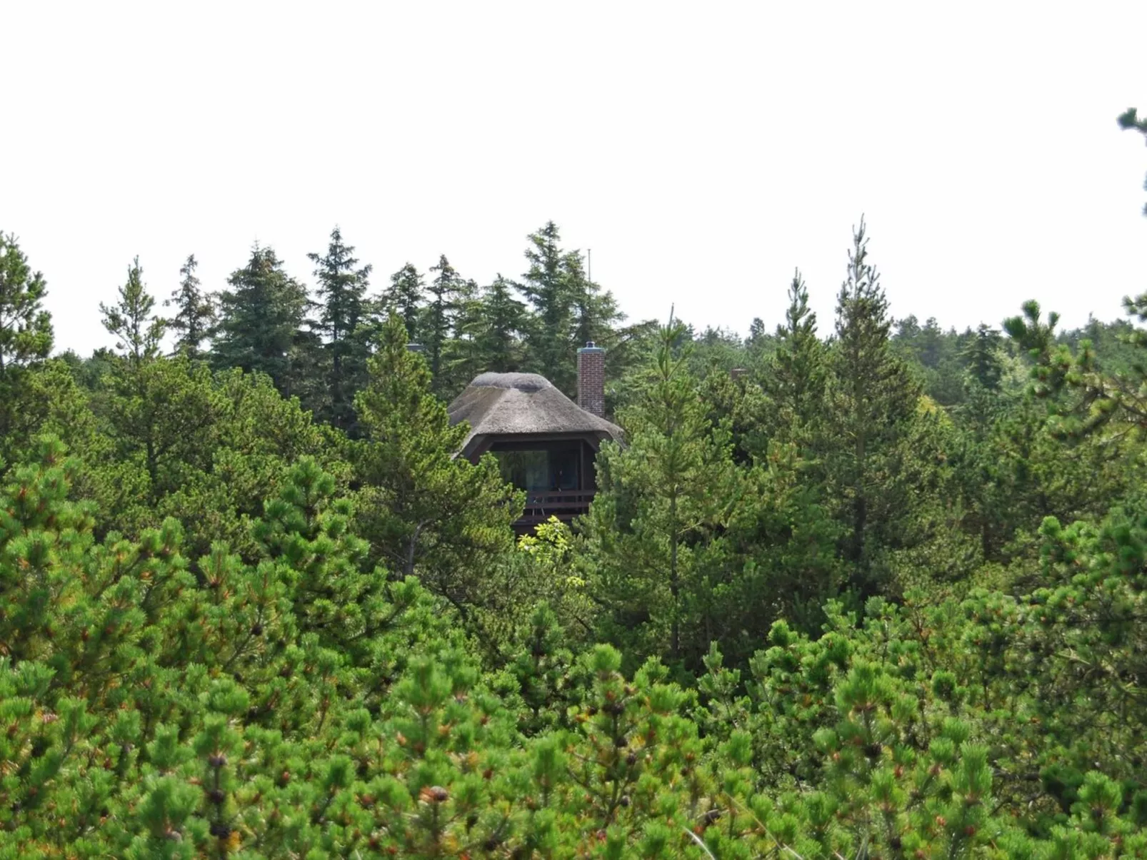 "Akeleje" - 900m from the sea-Buiten