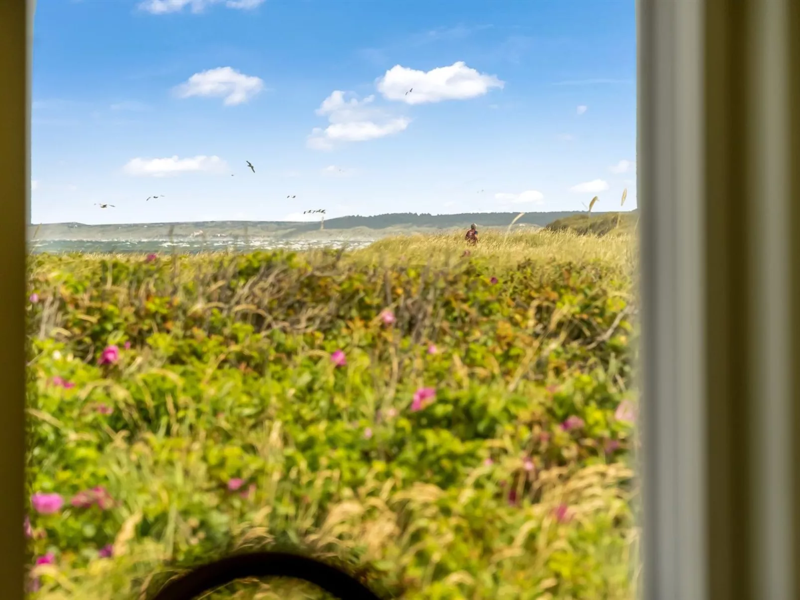 "Zina" - 50m from the sea-Buiten