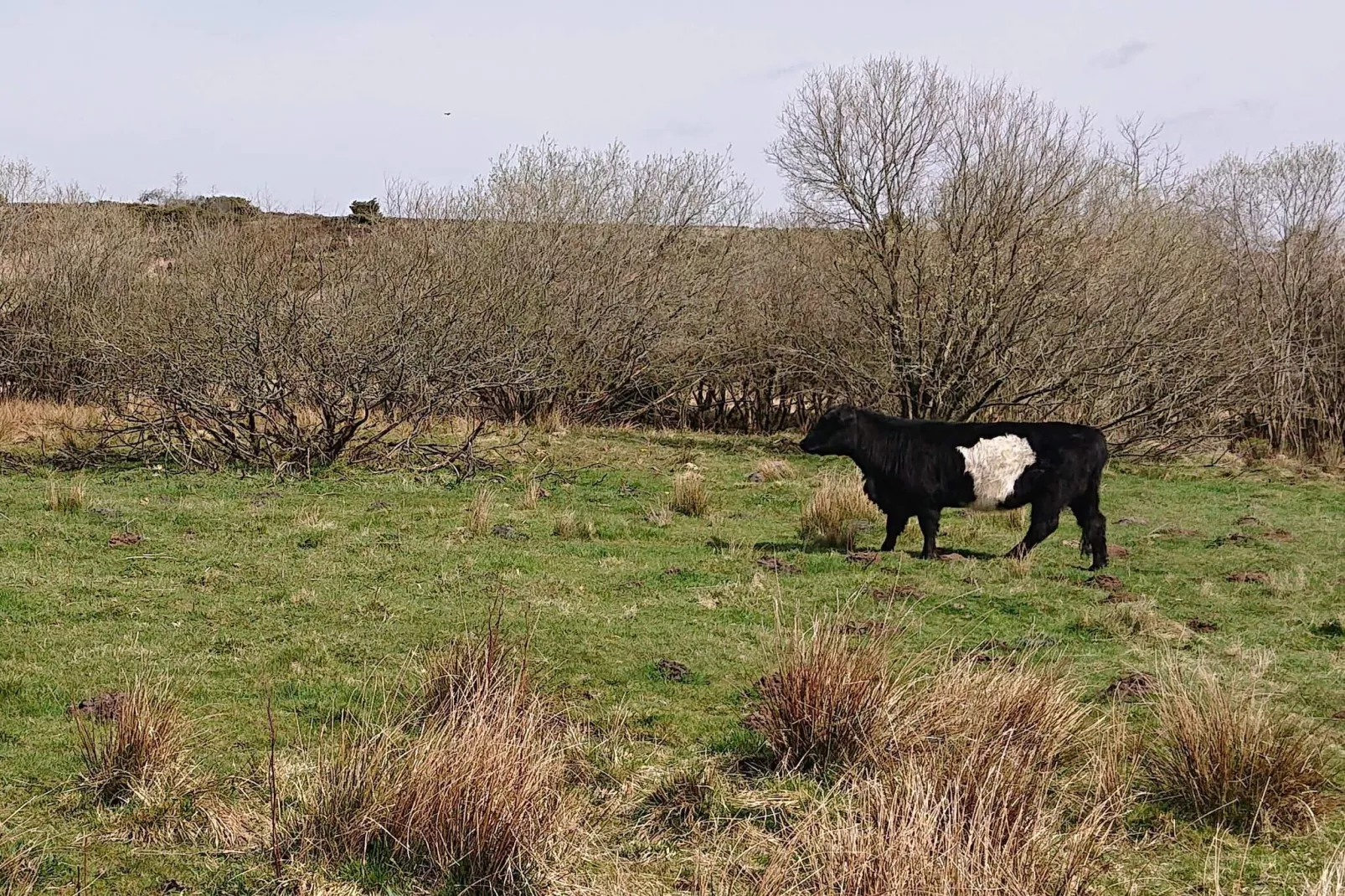 4 sterren vakantie huis in Hovborg-By Traum-Niet-getagd