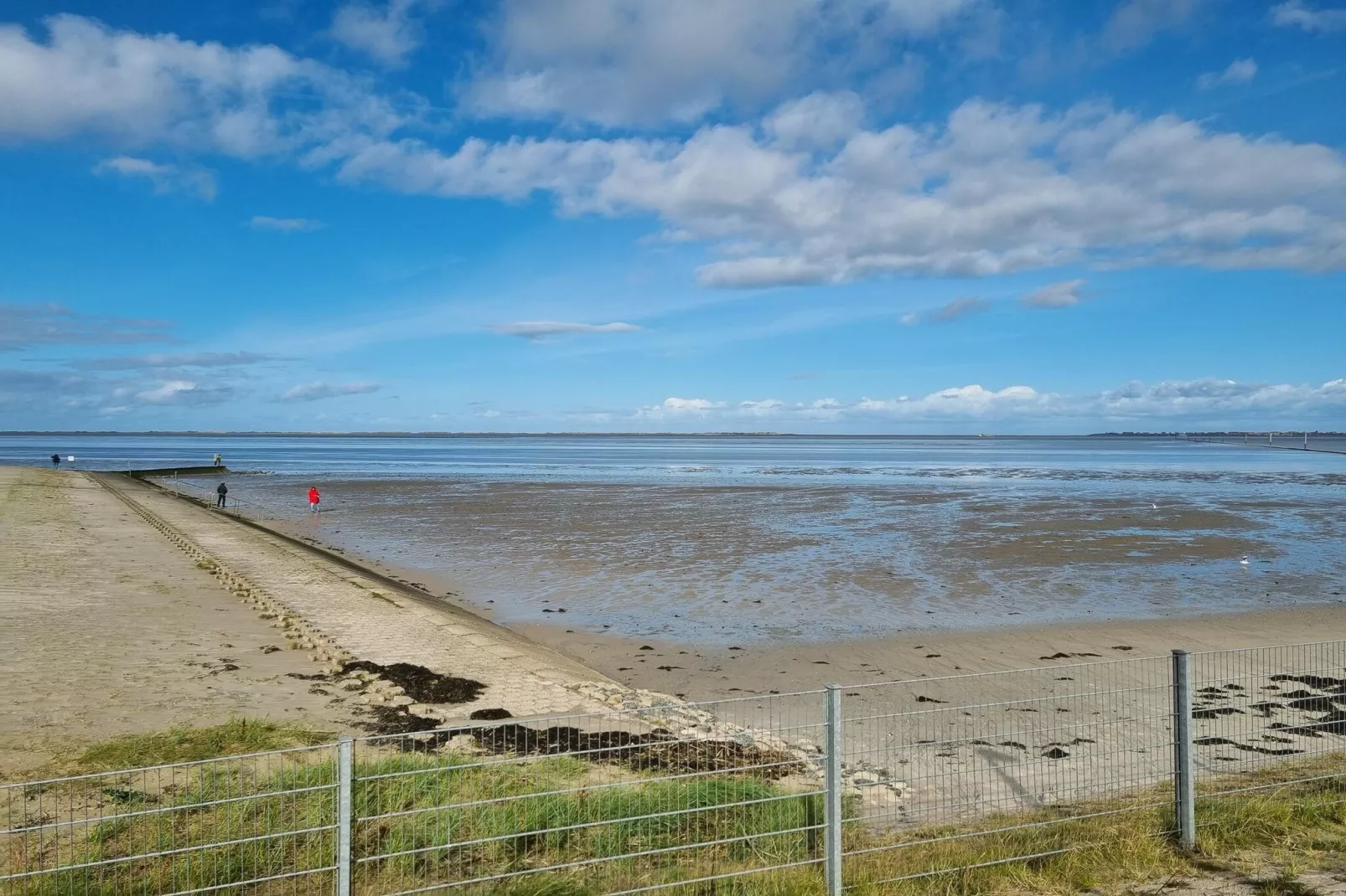 Fewo Seelust 03 Unten-Gebieden zomer 5km