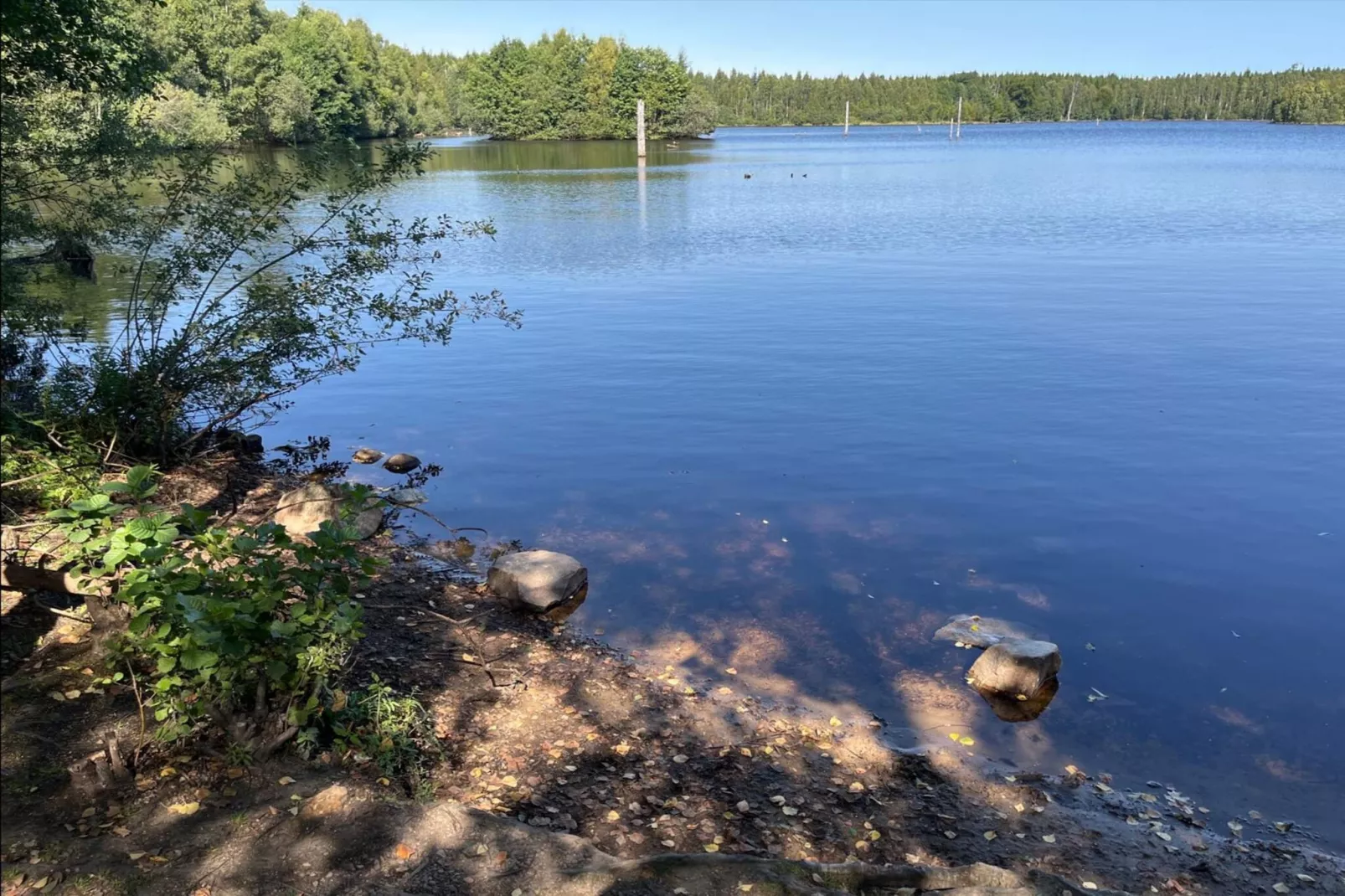 4 persoons vakantiehuis in Hoor-Waterzicht