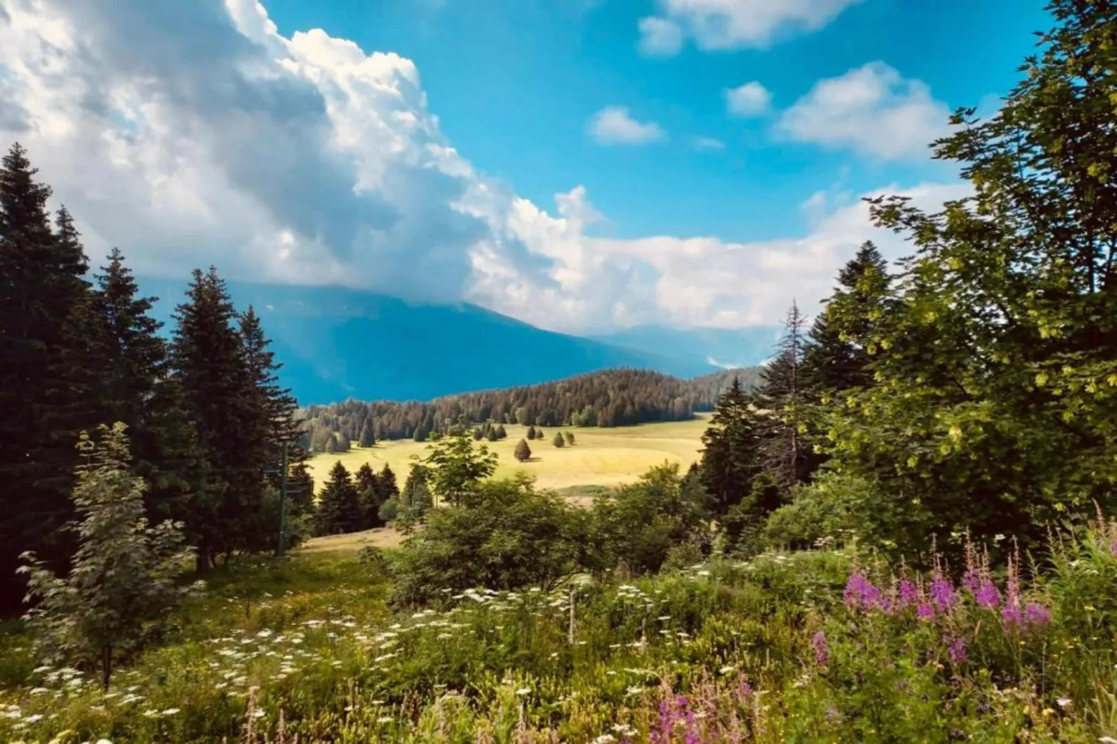 LE VERNON N°1222 - ST4-Gebieden zomer 5km