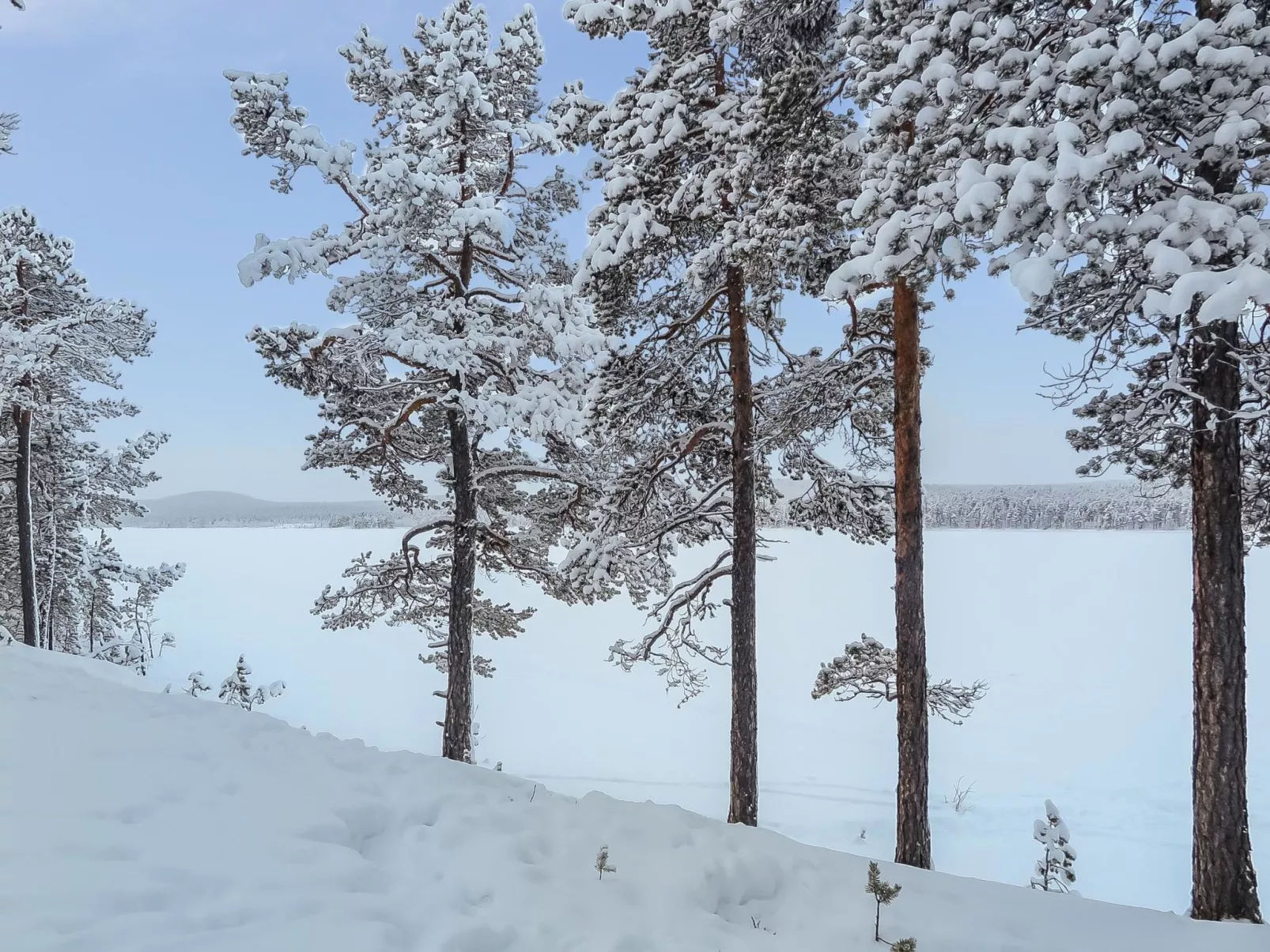 Lemmenliekki 2-Binnen