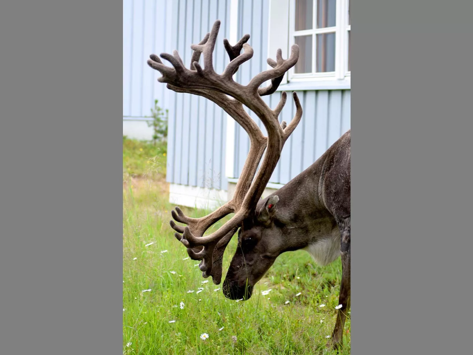 Saariseläntie 8 f 6-Binnen