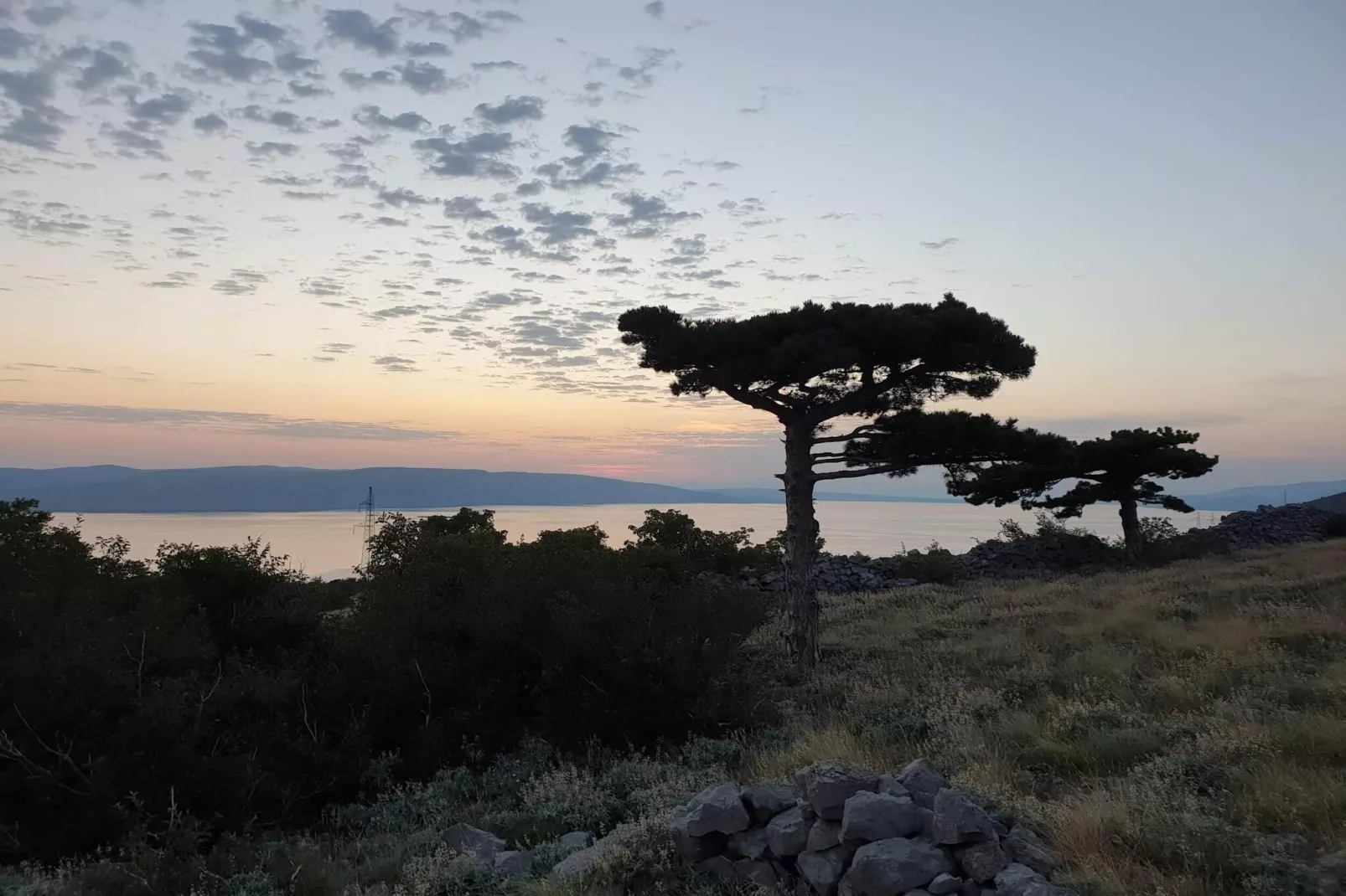 Niko 1-Gebieden zomer 5km