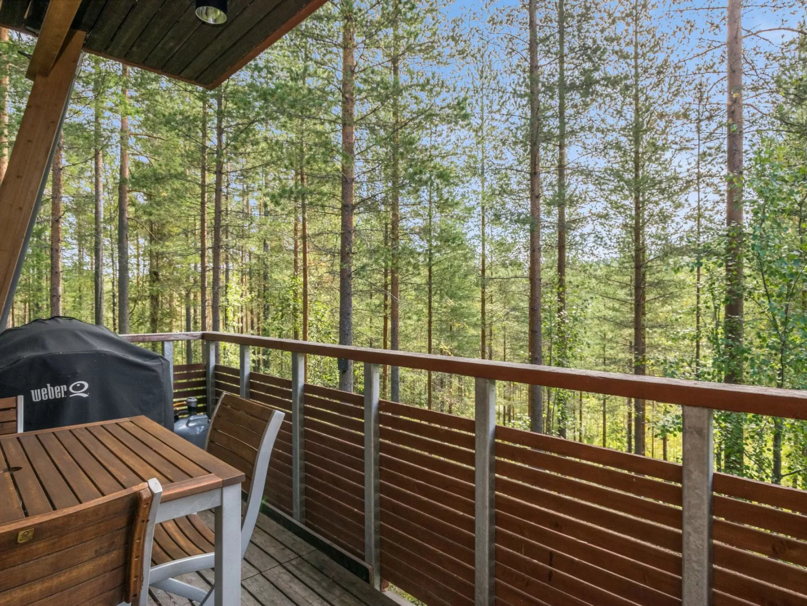 Vuokatti cabin 16-Binnen