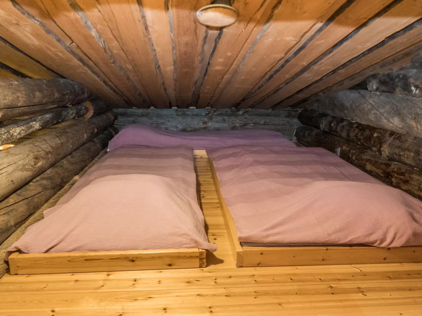 Rukakämmekkä-Binnen