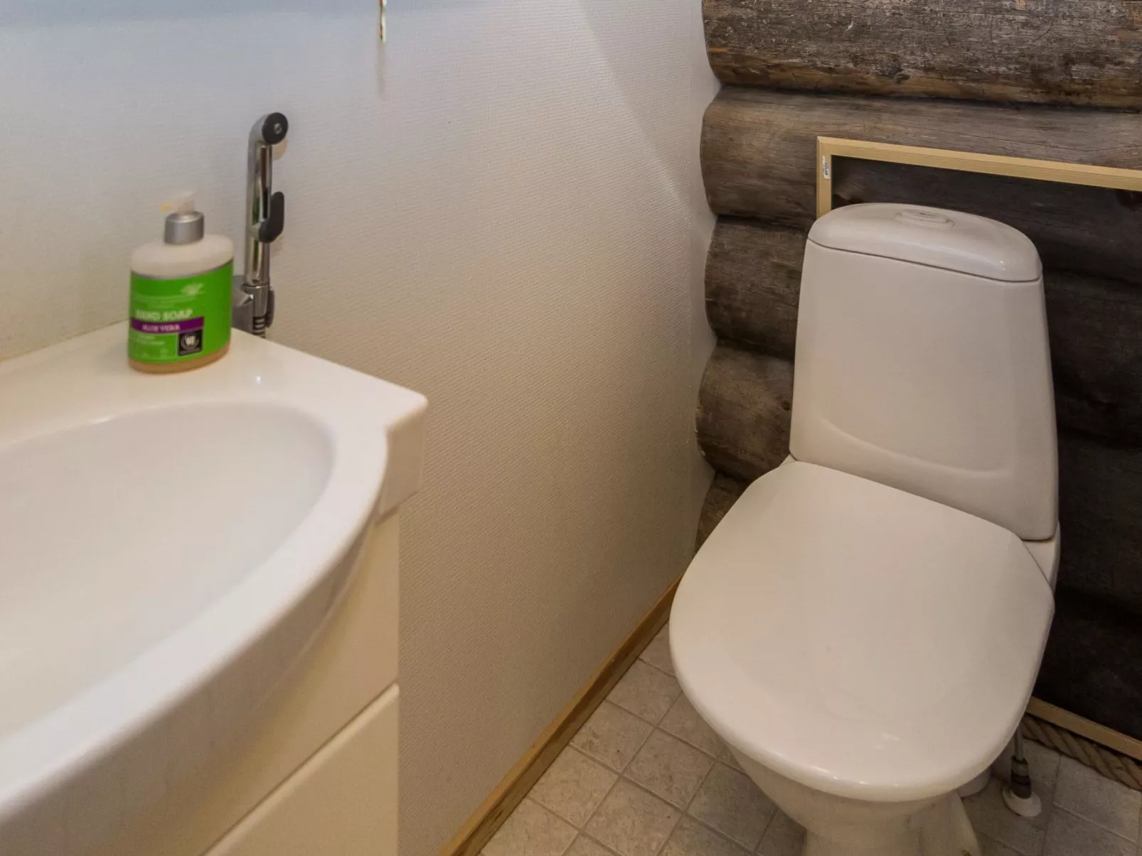 Lumipolku a 1-Binnen