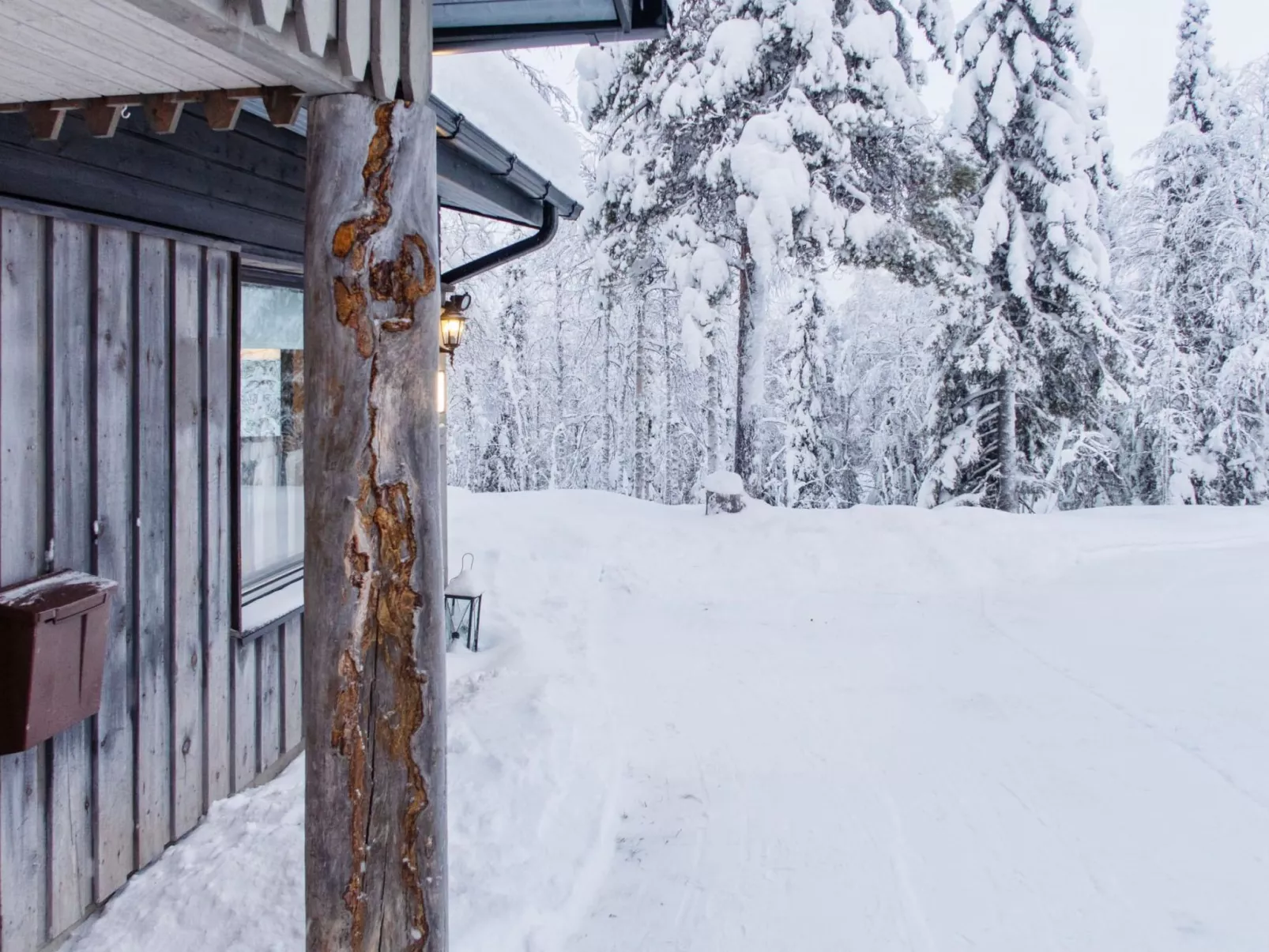 Mustalampi 3 lintukoto-Binnen