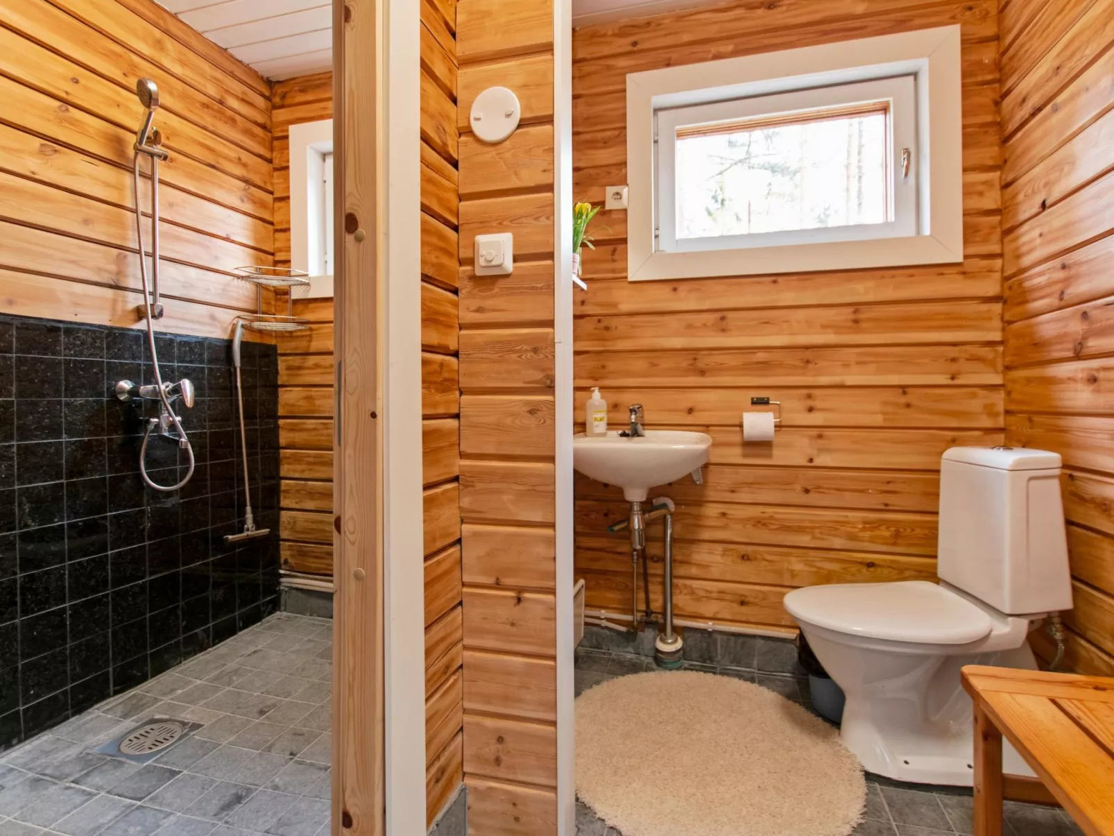 Sakarinniemi, vaikon loma 5-Binnen