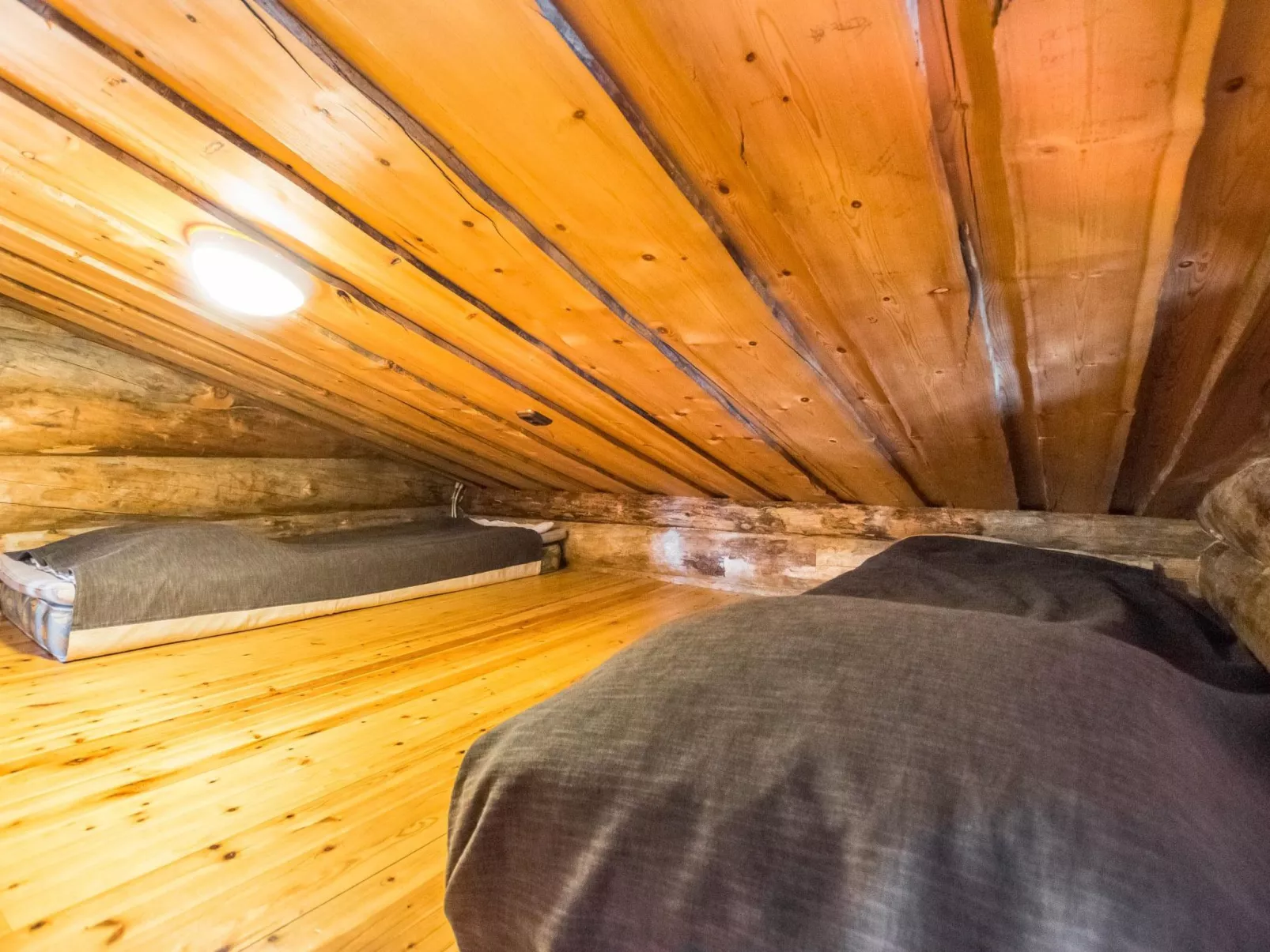 Mustalampi 2 kurkiaura-Binnen