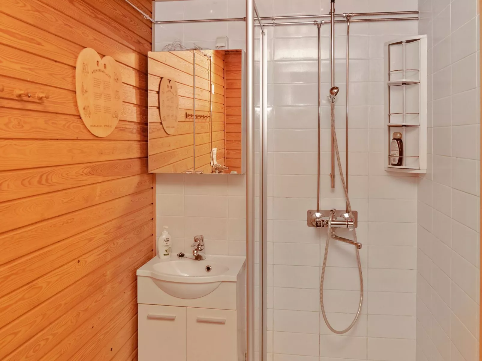 Villihanhi 7b-Binnen