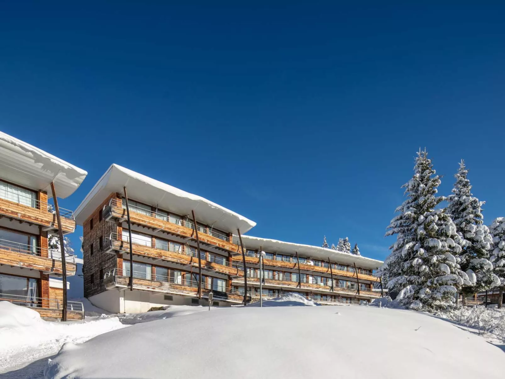 V du Bachat Silene D-Buiten