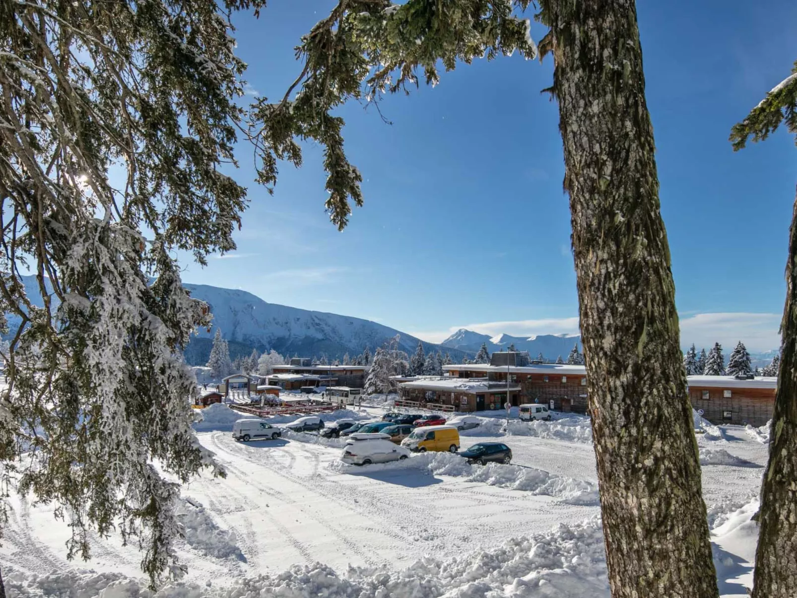 V du Bachat Asters E-Buiten