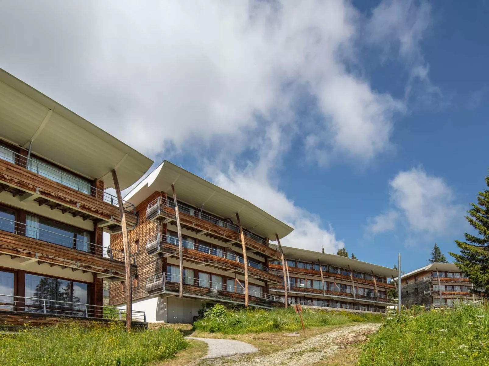 V du Bachat Asters B-Buiten